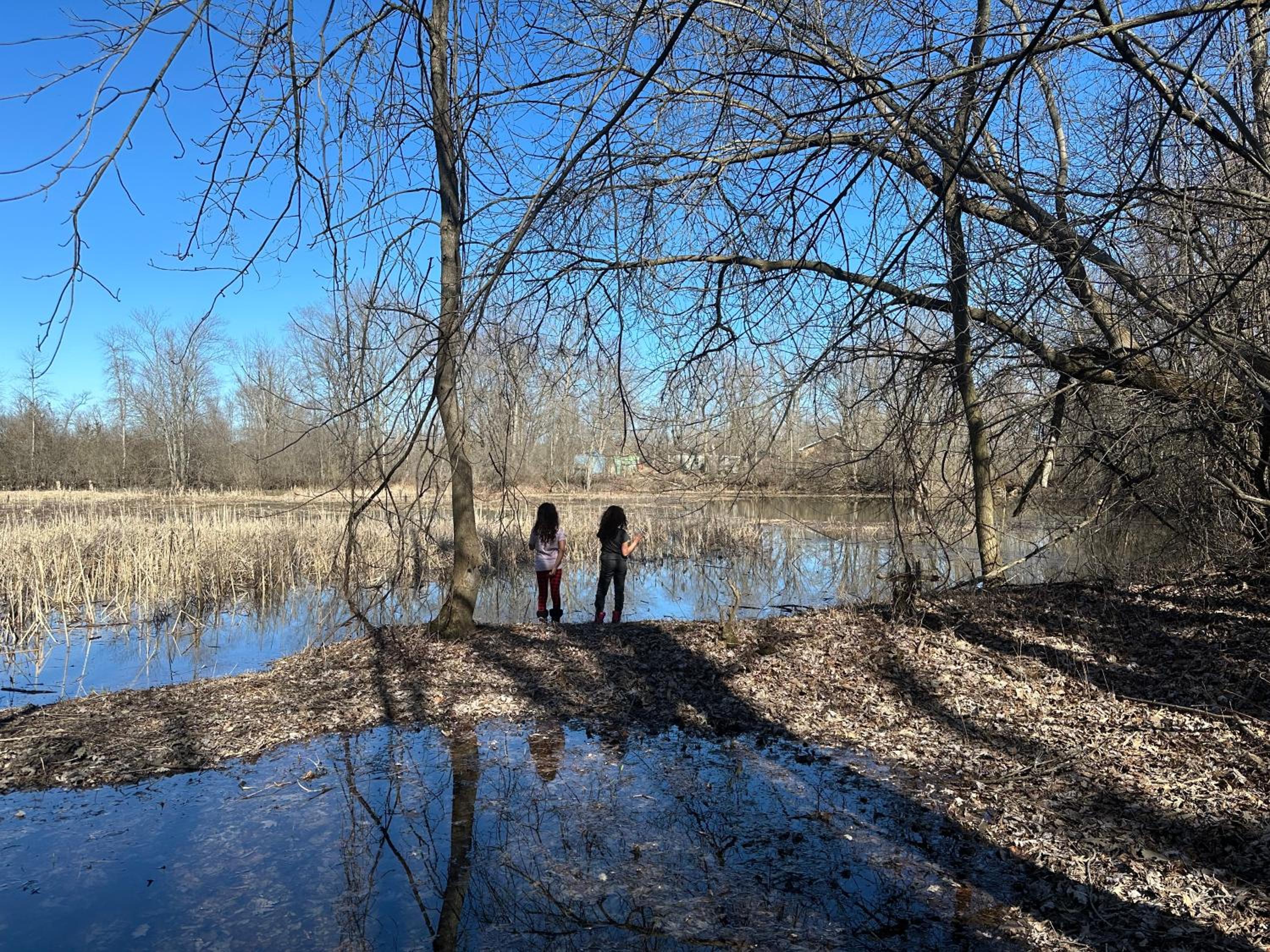 Belleville Vacations - Riverside Stylish 4Bedroom - Property Image 24