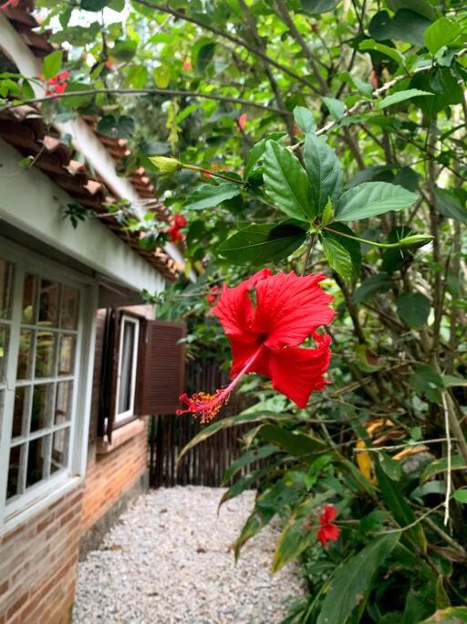 Casa charmosa em Juquehy cercada de verde, 2 quartos com churrasqueira
