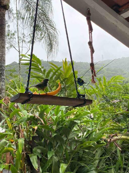 Casa charmosa em Juquehy cercada de verde, 2 quartos com churrasqueira
