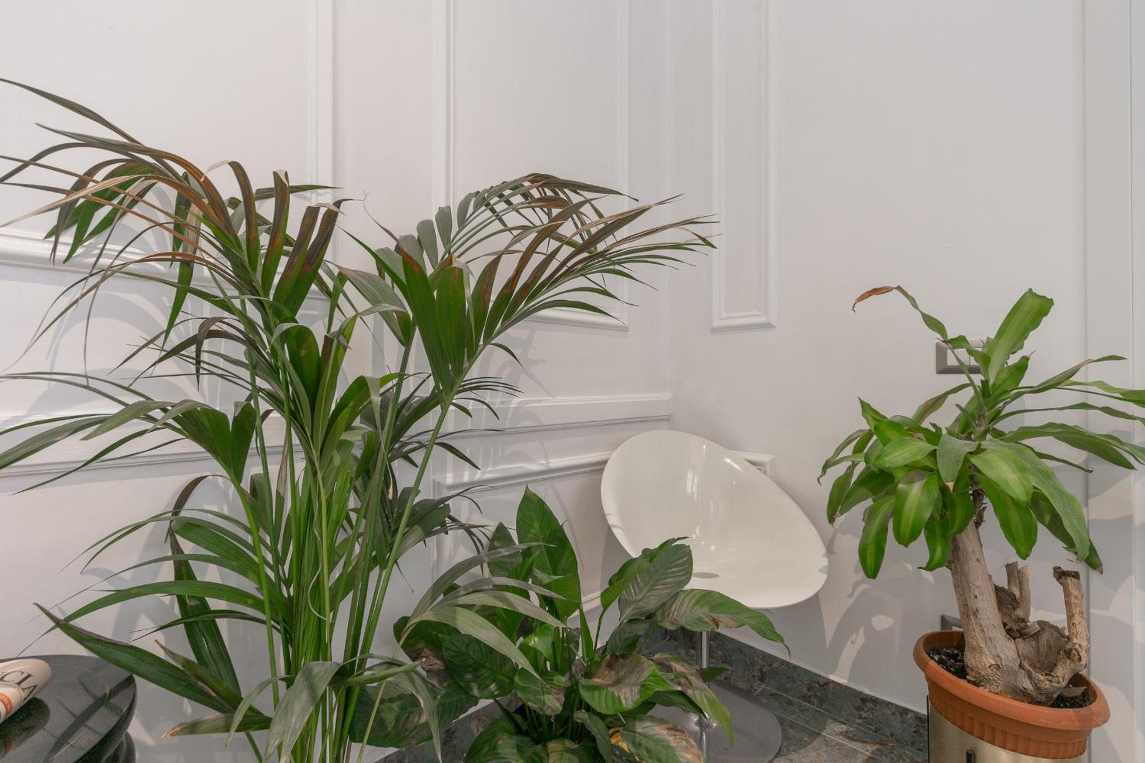 Duomo Smart Suites