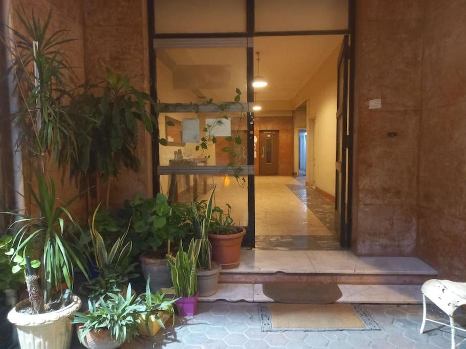 The Lodge, Zamalek
