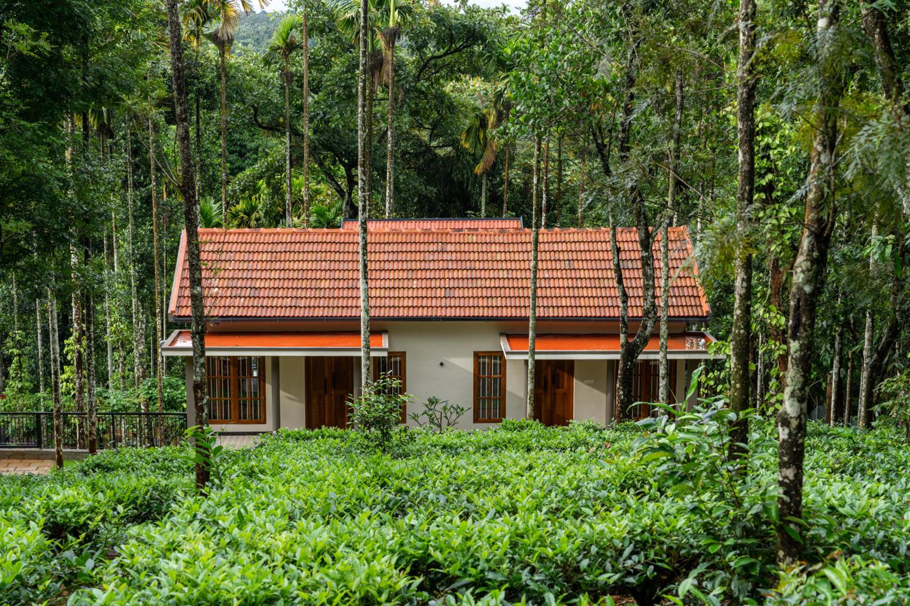 Theyila Wayanad Premium Pool Resort