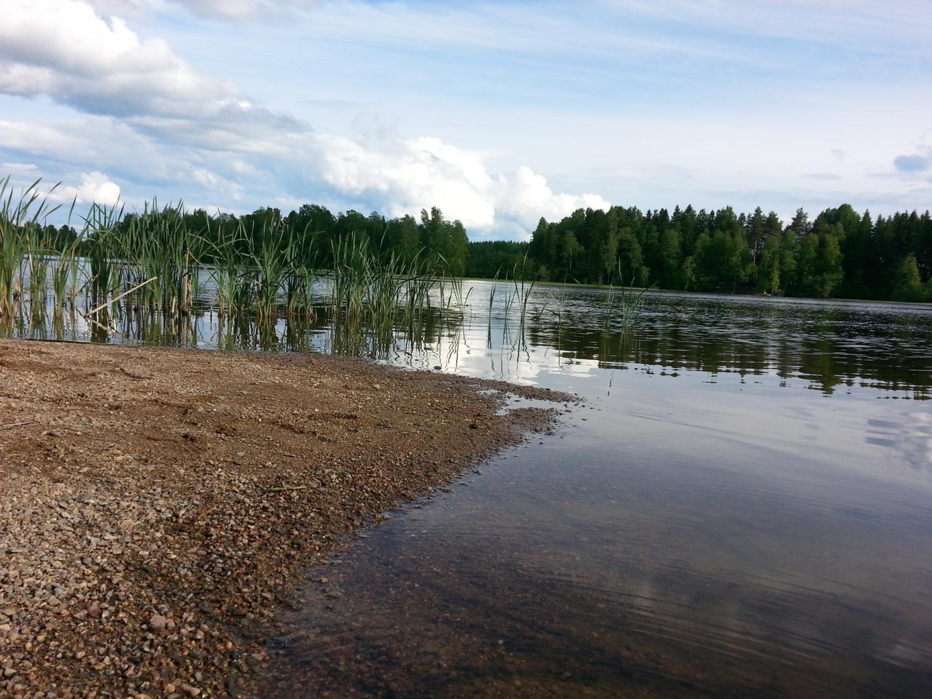 Liljevikin Ihanaranta