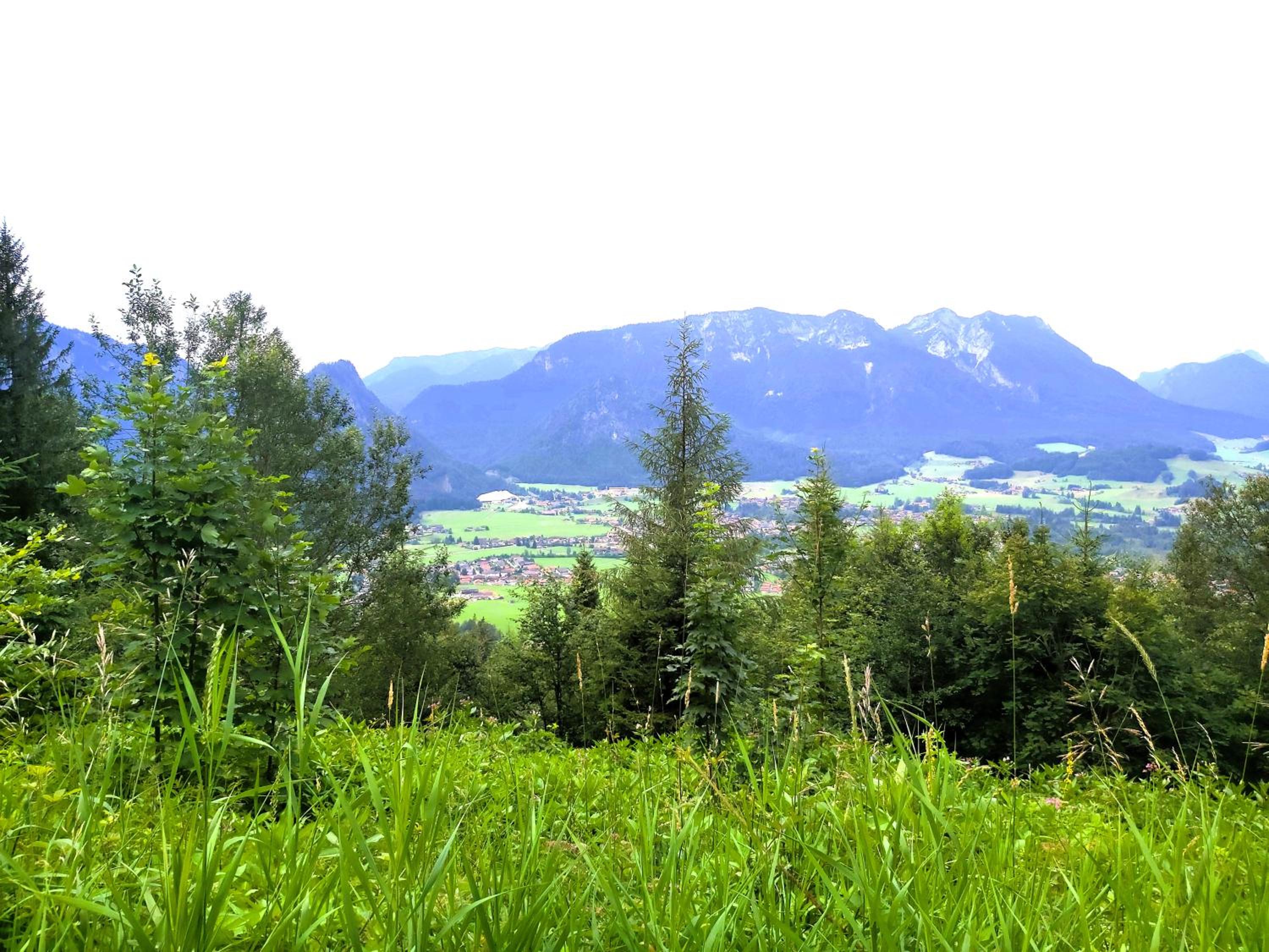 Photo 35