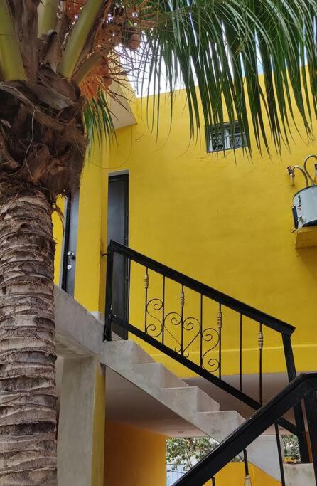 Departamento Rosi Cerca de Juzgado Familiar