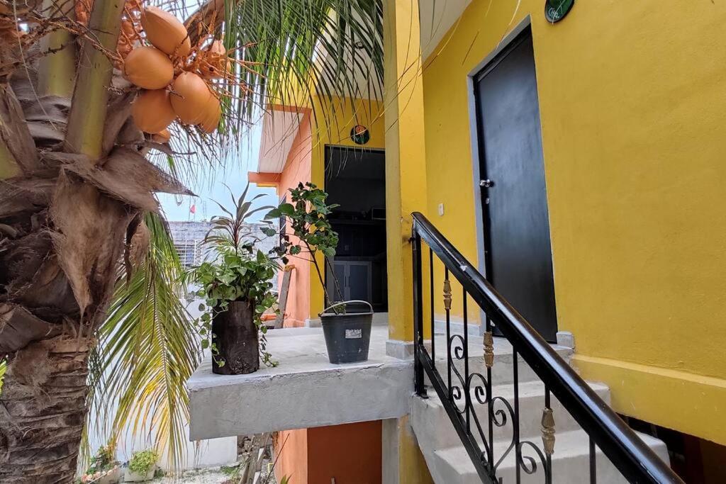 Departamento Rosi Cerca de Juzgado Familiar