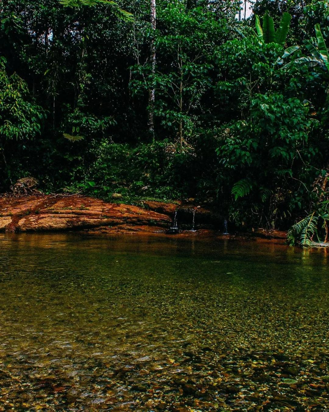 Ingaru Amazon Lodge