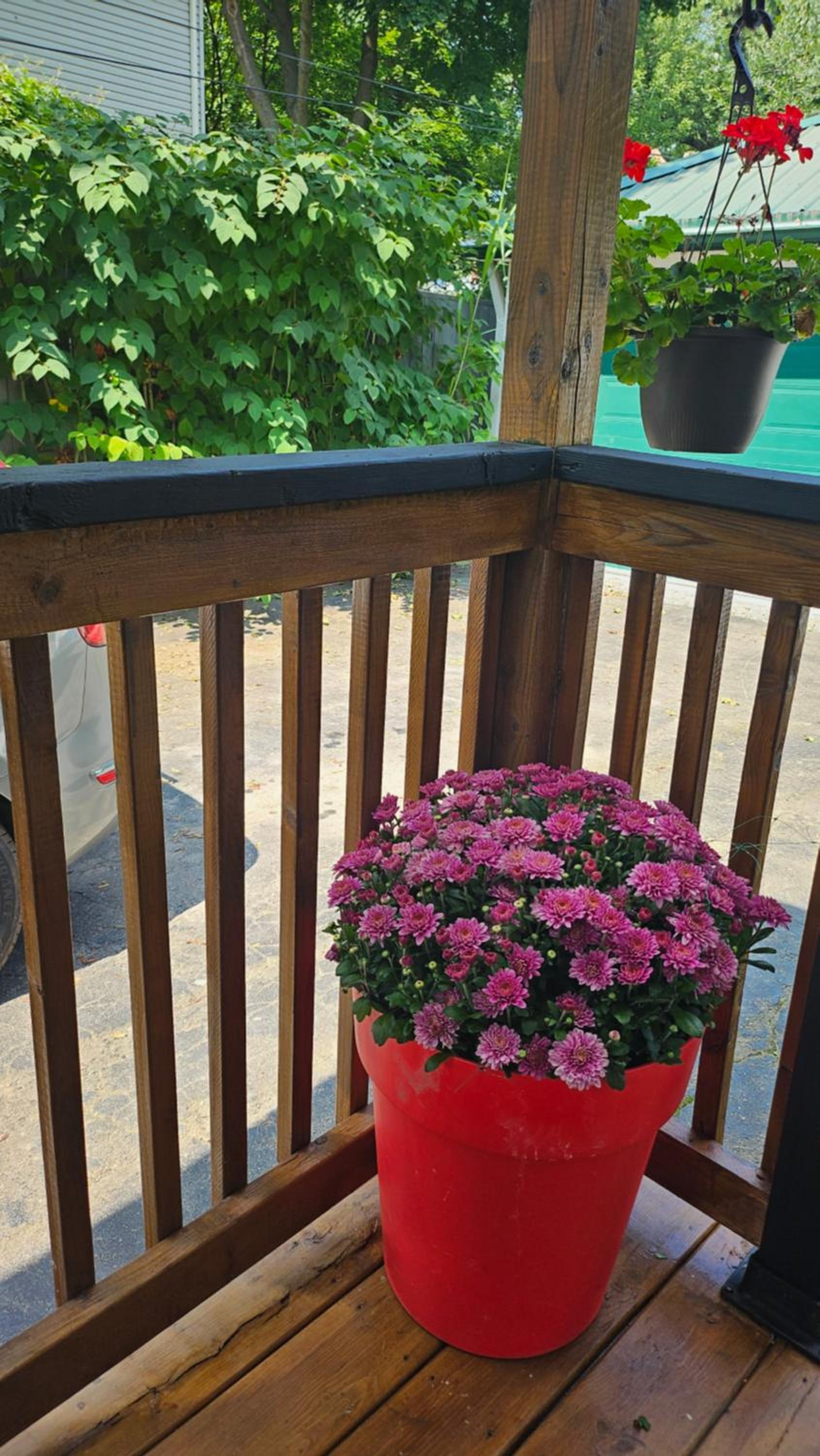 Serenity Inn
