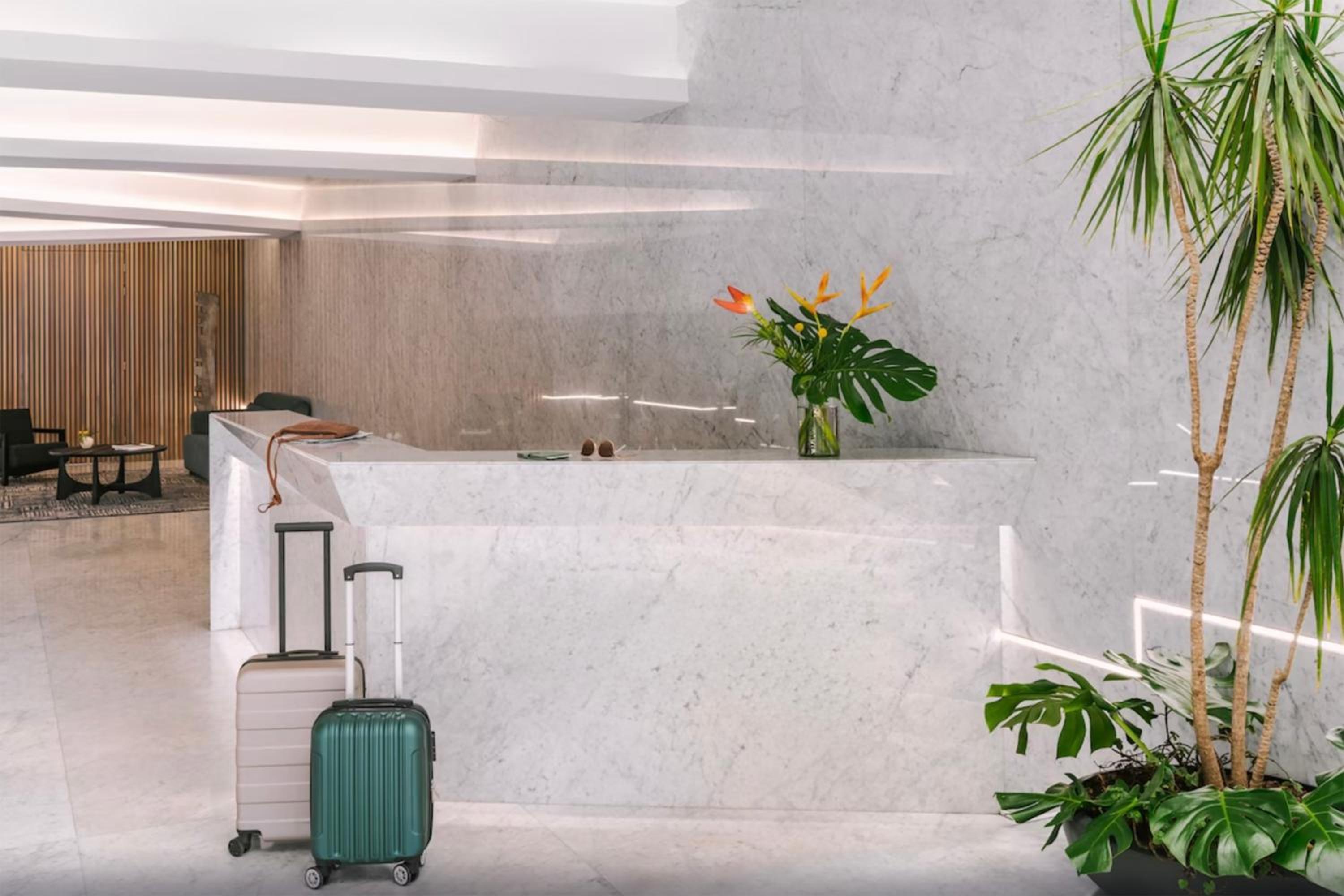 recepcion & lobby
