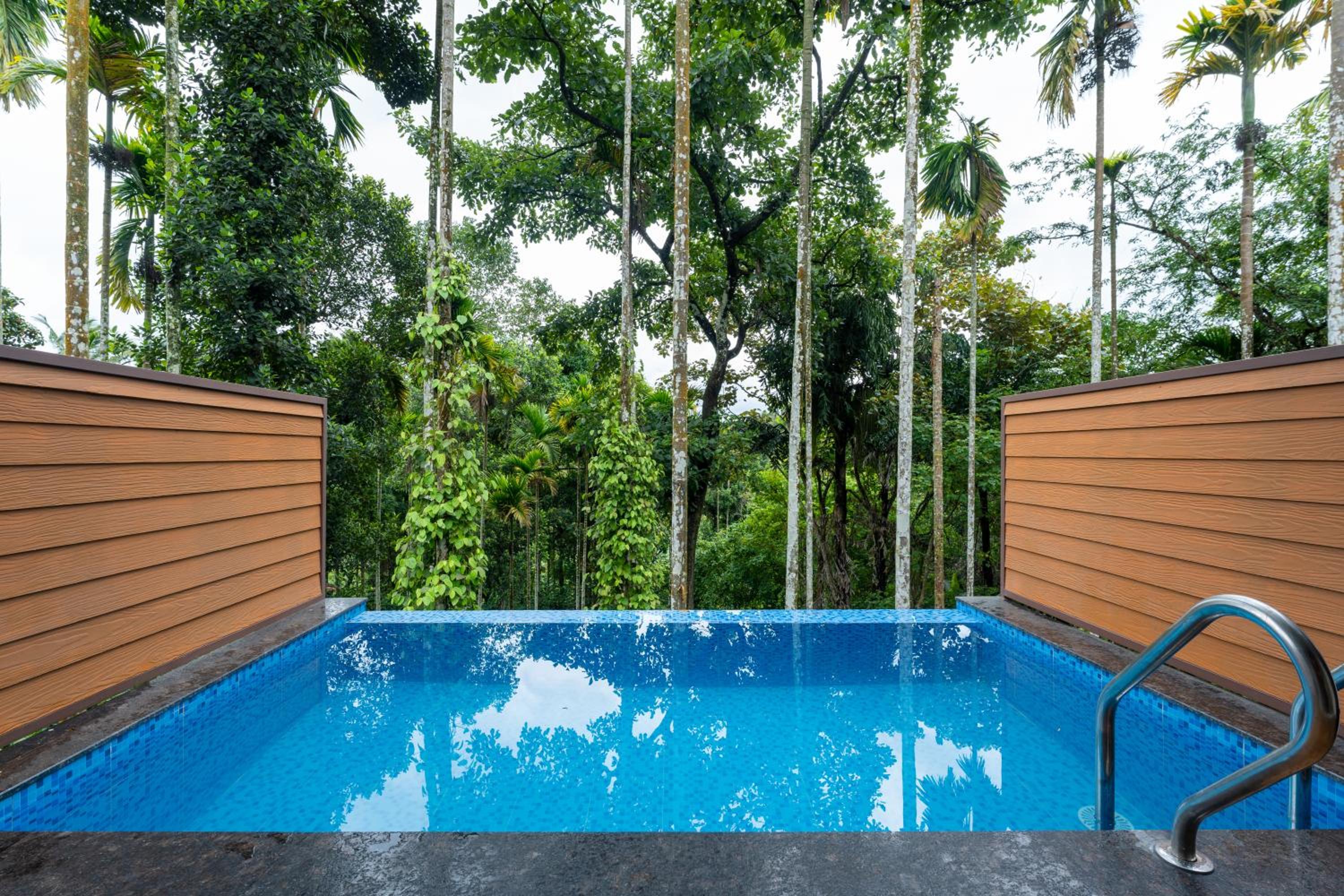 Theyila Wayanad Premium Pool Resort