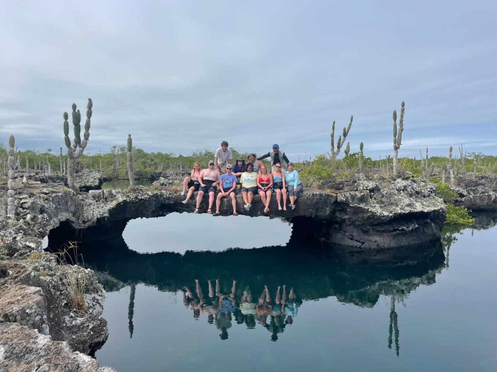 GALAPAGOS Flamingos