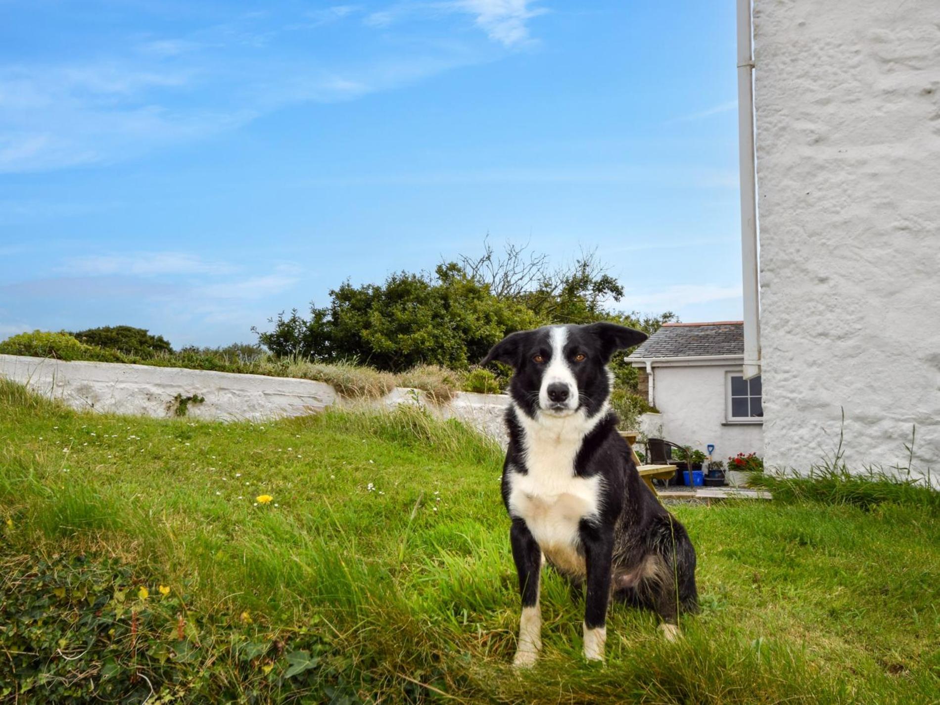 3 Bed in Helston oc-htfox view 5