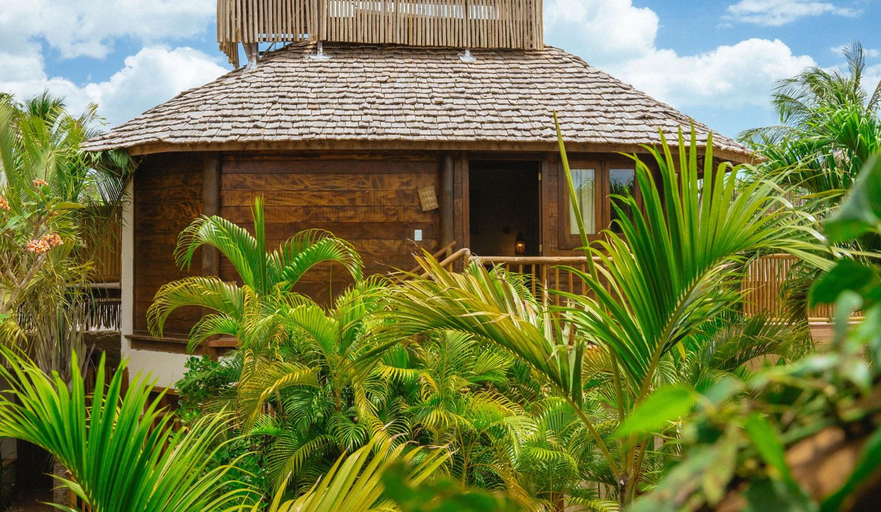 Photo 241