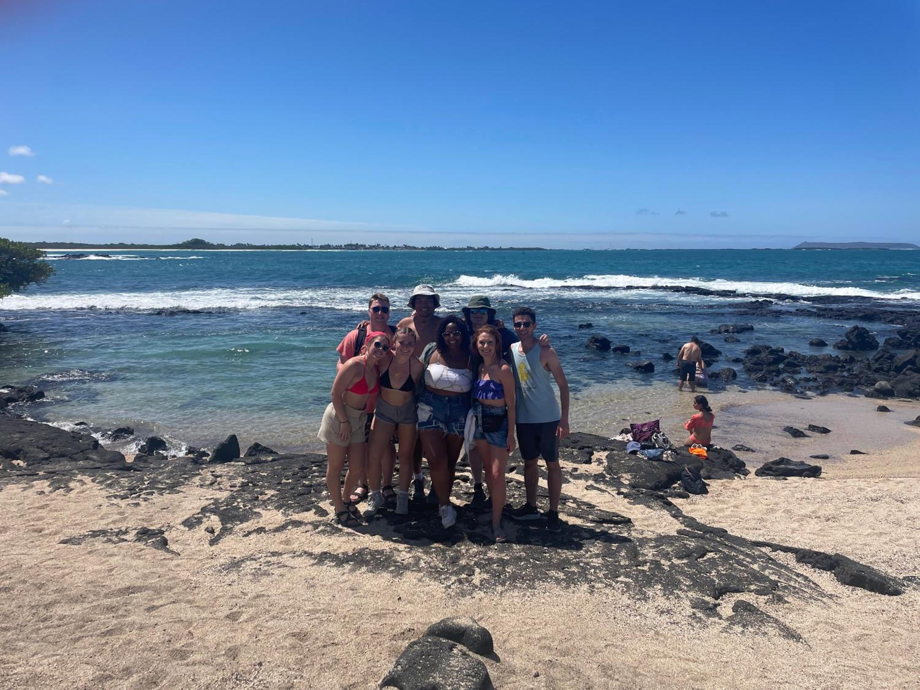 GALAPAGOS Flamingos