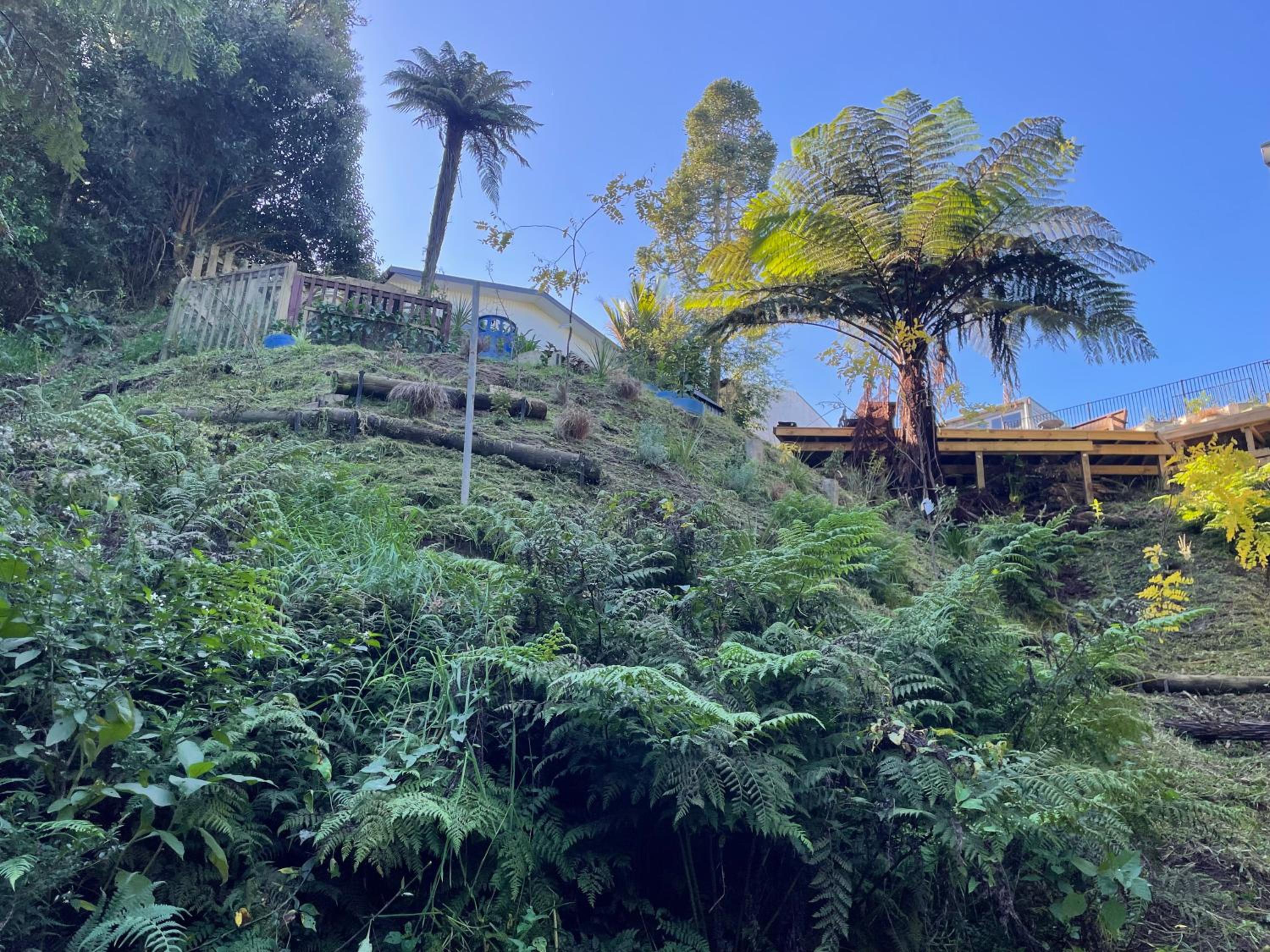 Gully Retreat view 4