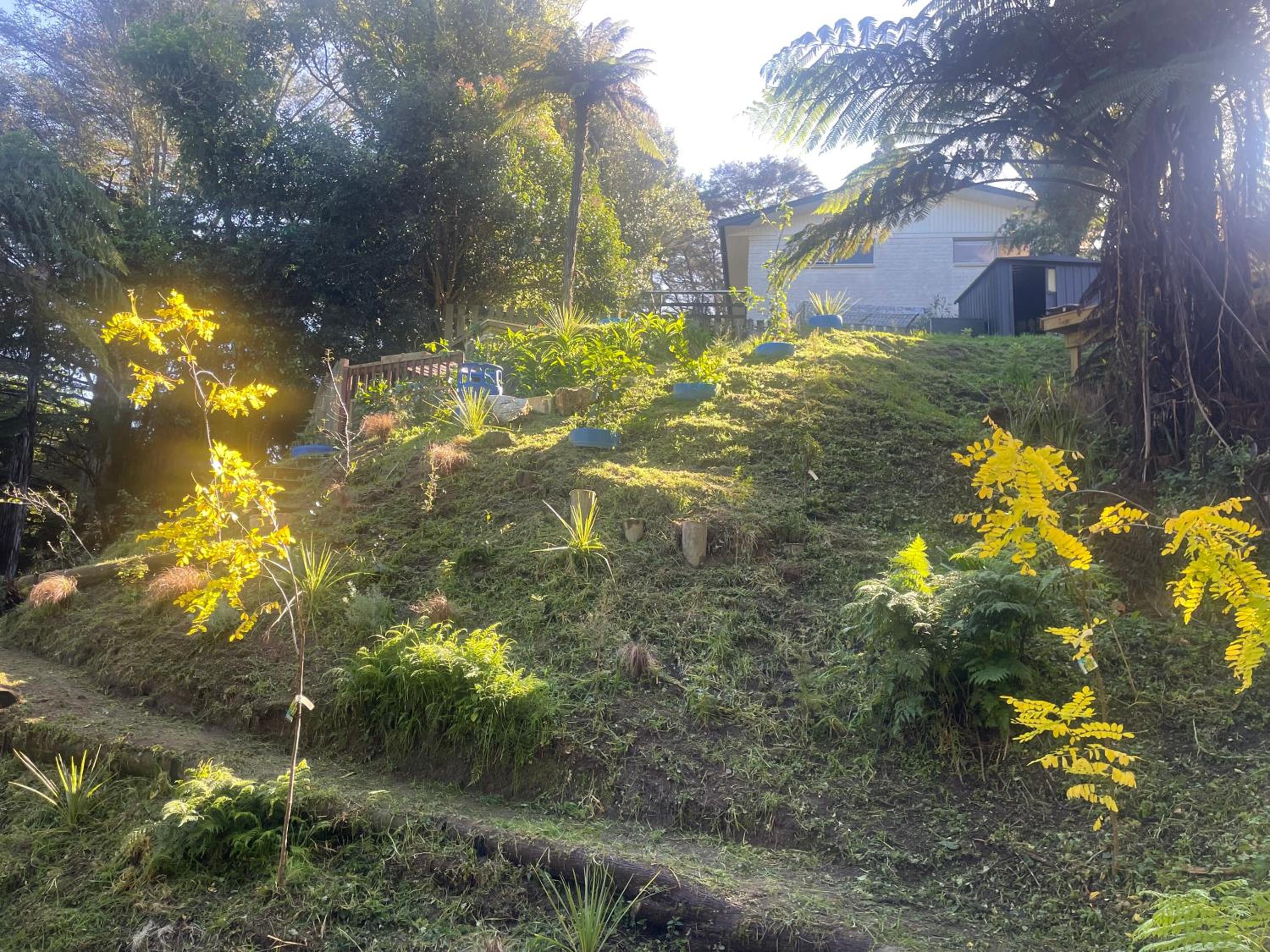 Photo 11