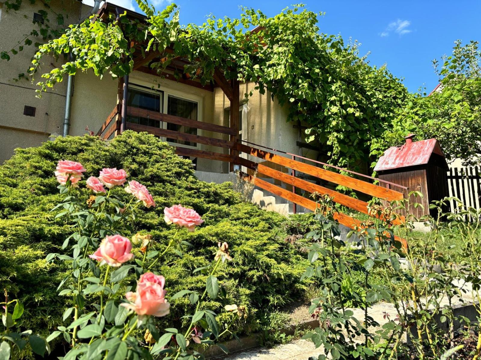 Apartmán Vendy