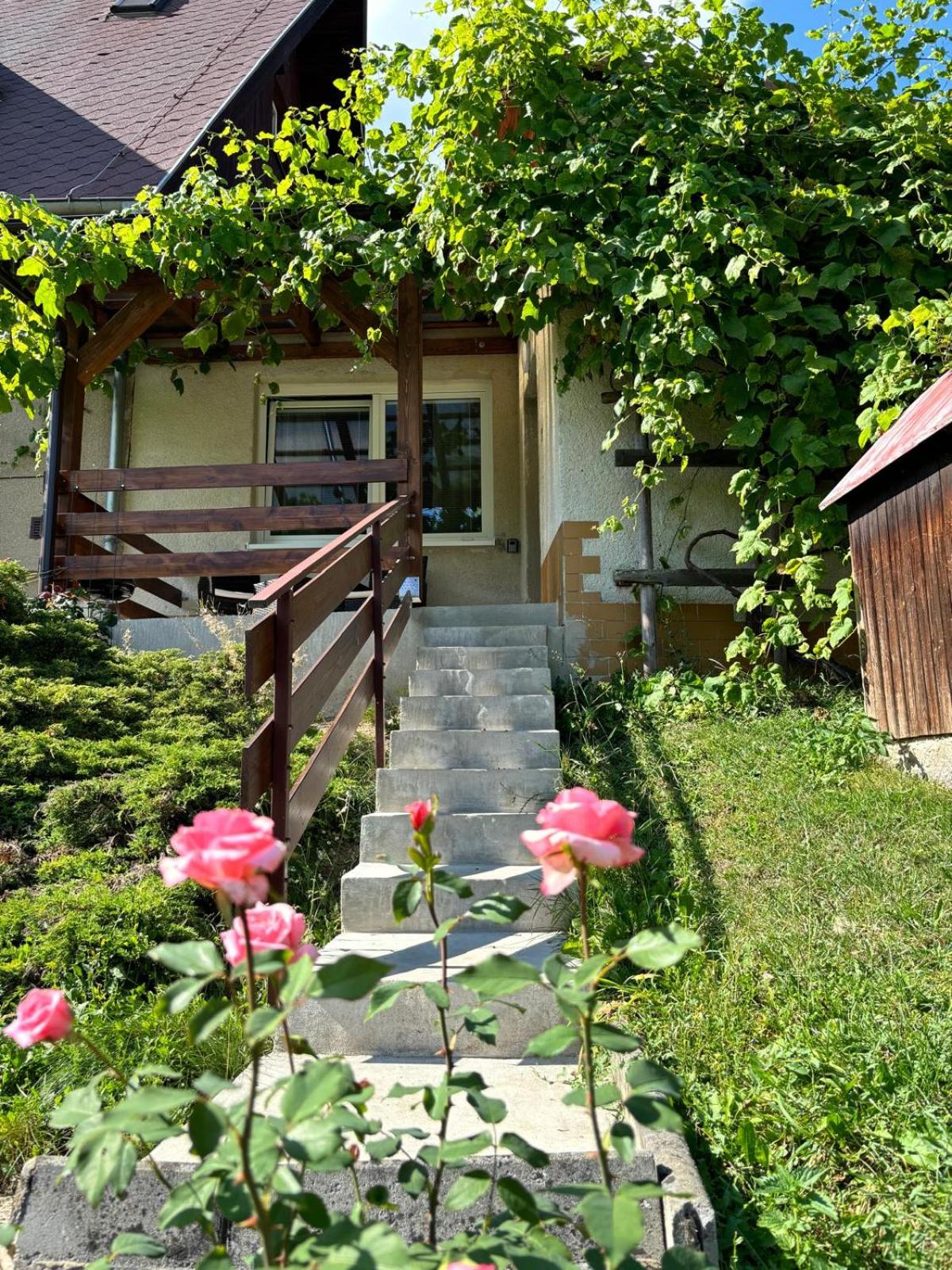 Apartmán Vendy
