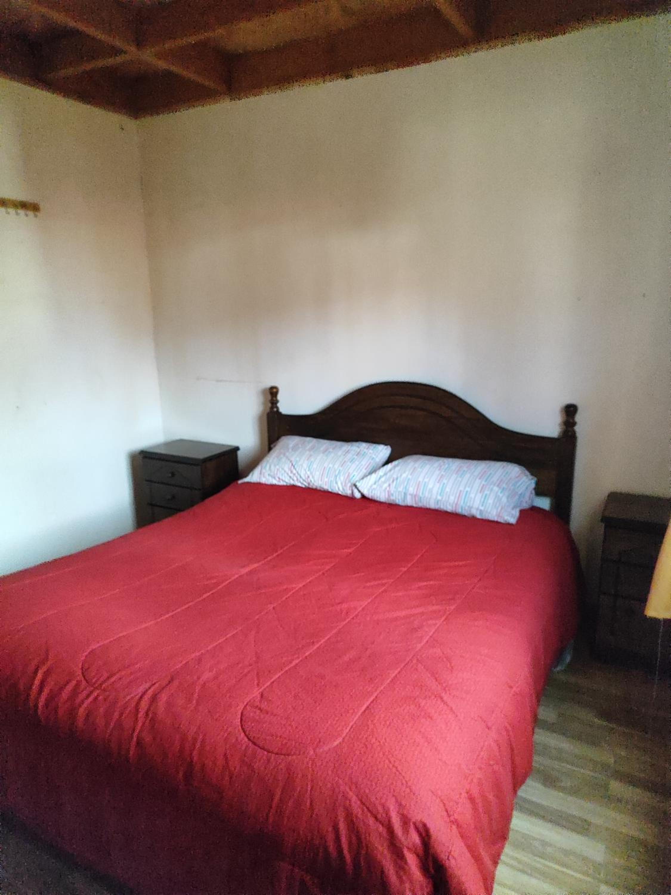 Alma Patagona Hostel Puerto Tranquilo