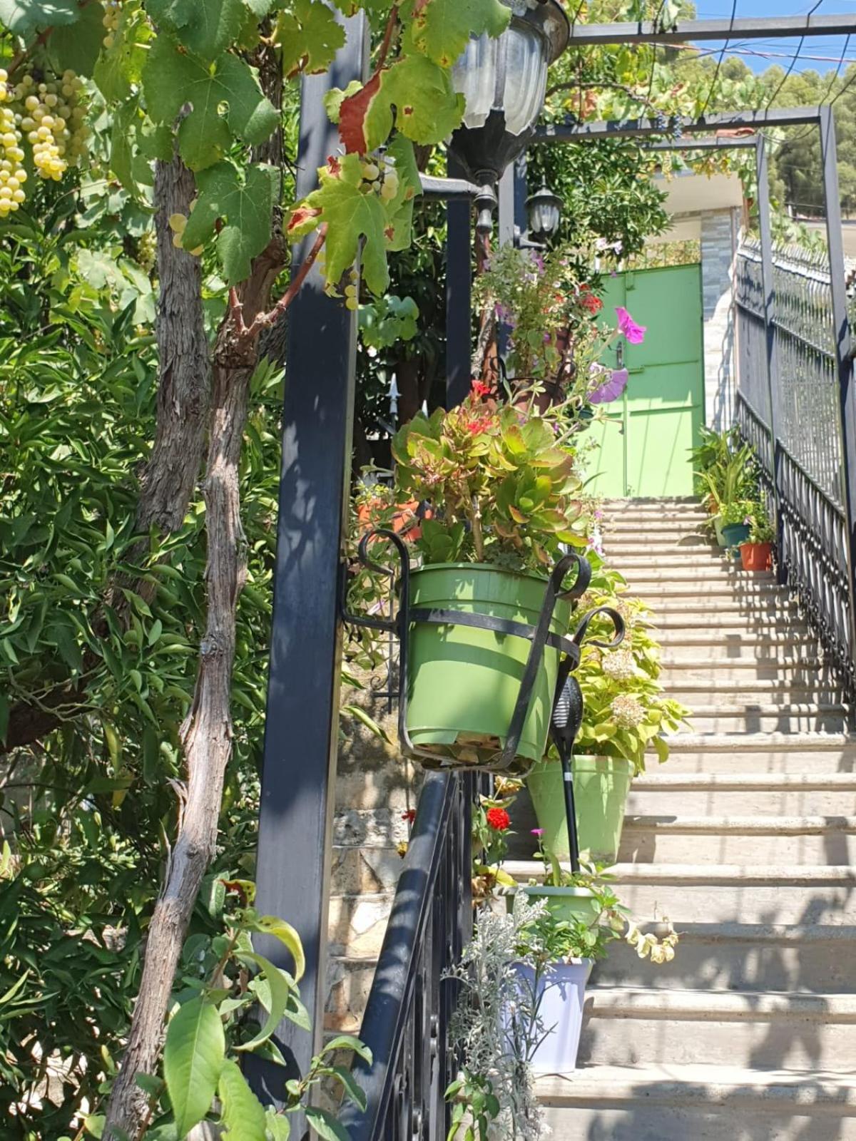 Sara Guesthouse