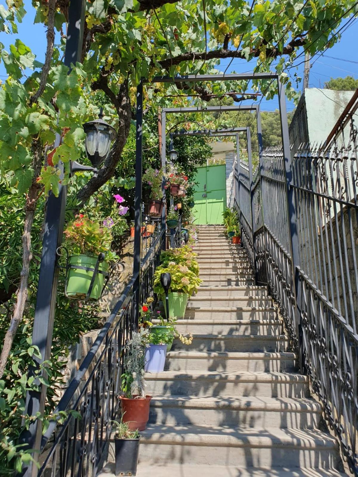 Sara Guesthouse