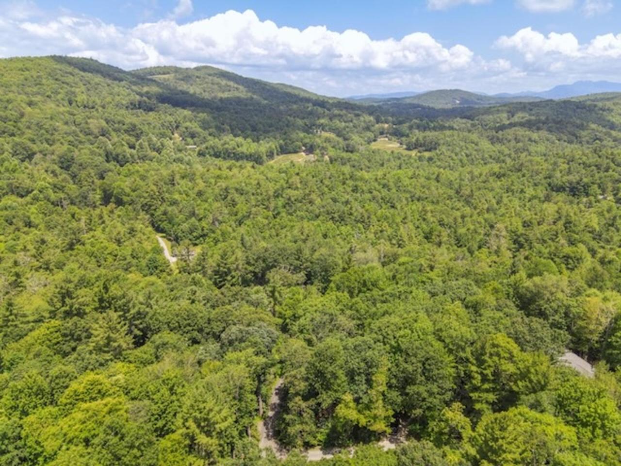 Gingercake Mtn Cottage At Linville Gorge - Wood Burning Fireplace view 2