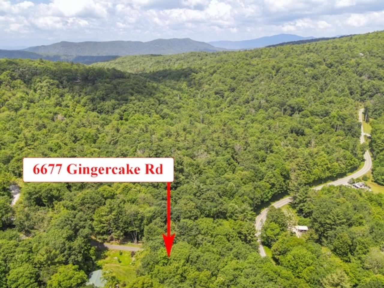 Gingercake Mtn Cottage At Linville Gorge - Wood Burning Fireplace view 5