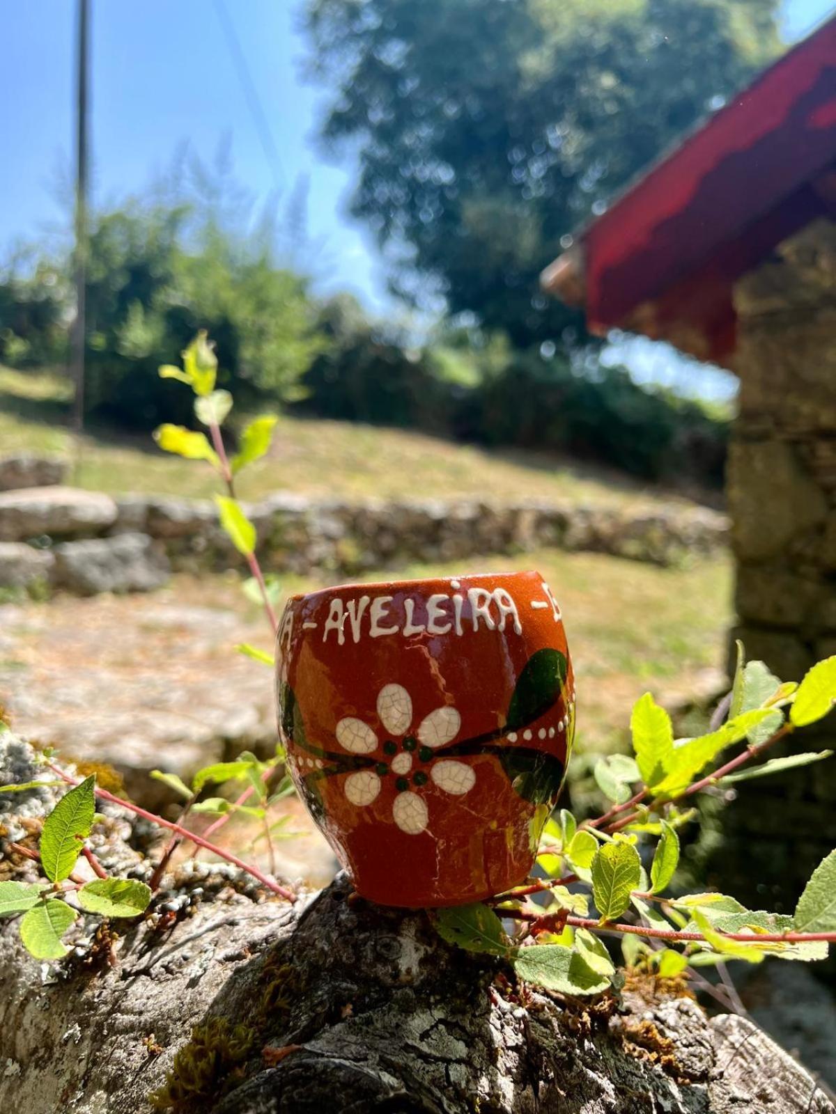 Aveleira EcoCasa