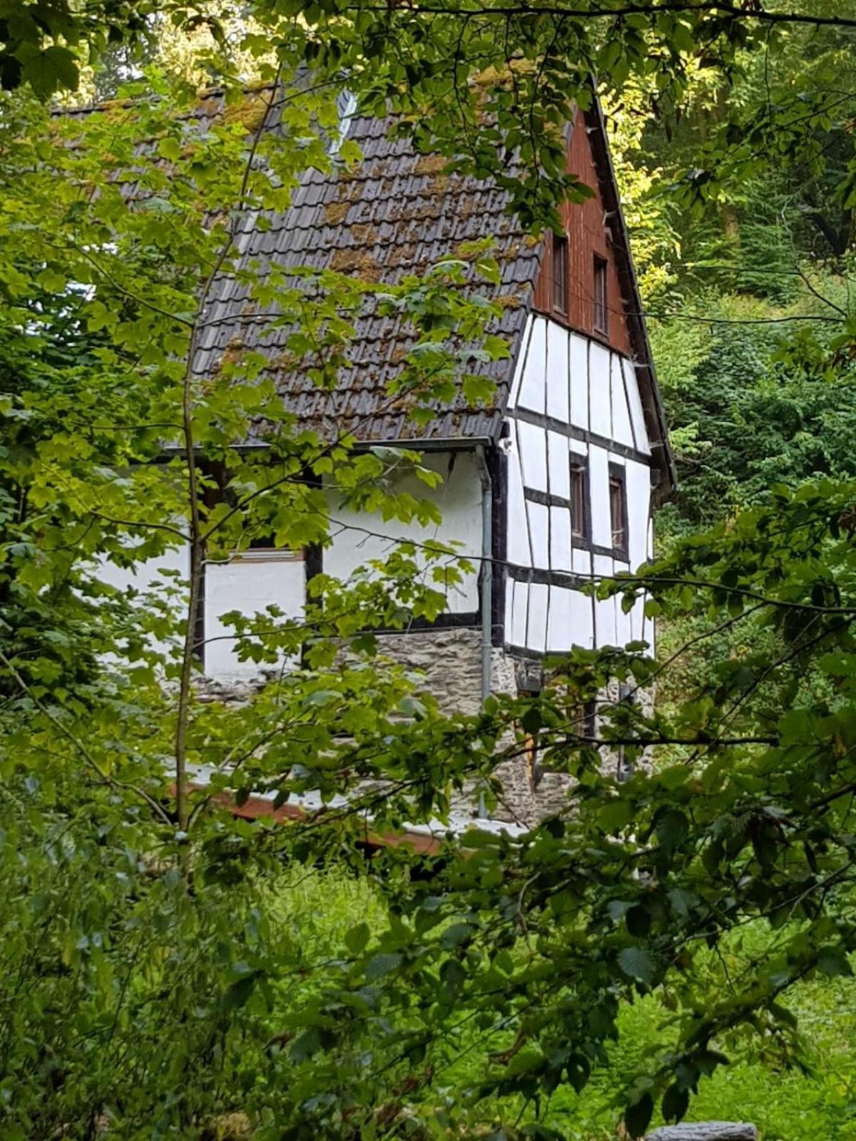 Ferienwohnung Heideberg