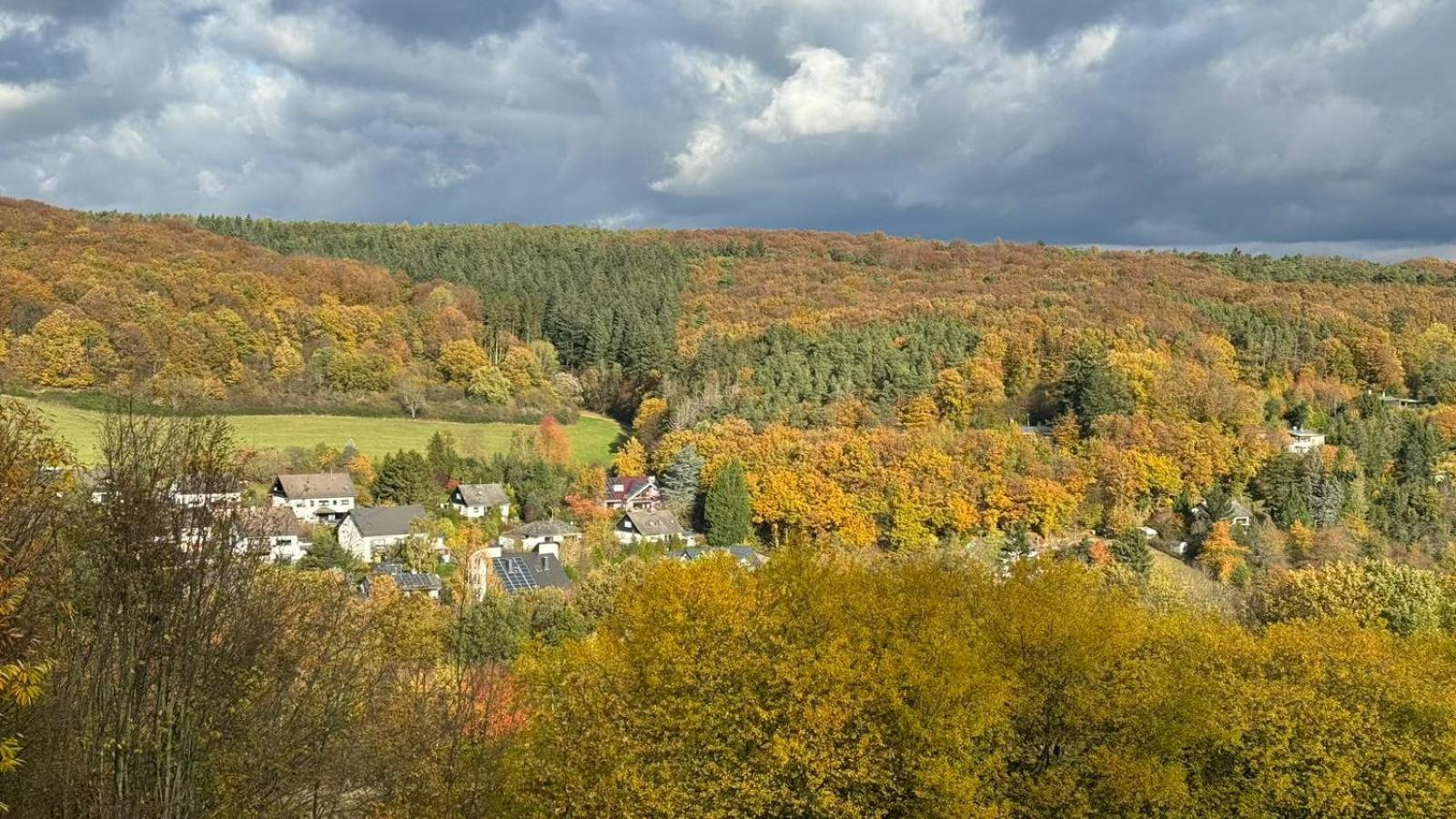 Ferienhaus Am Baumwipfel