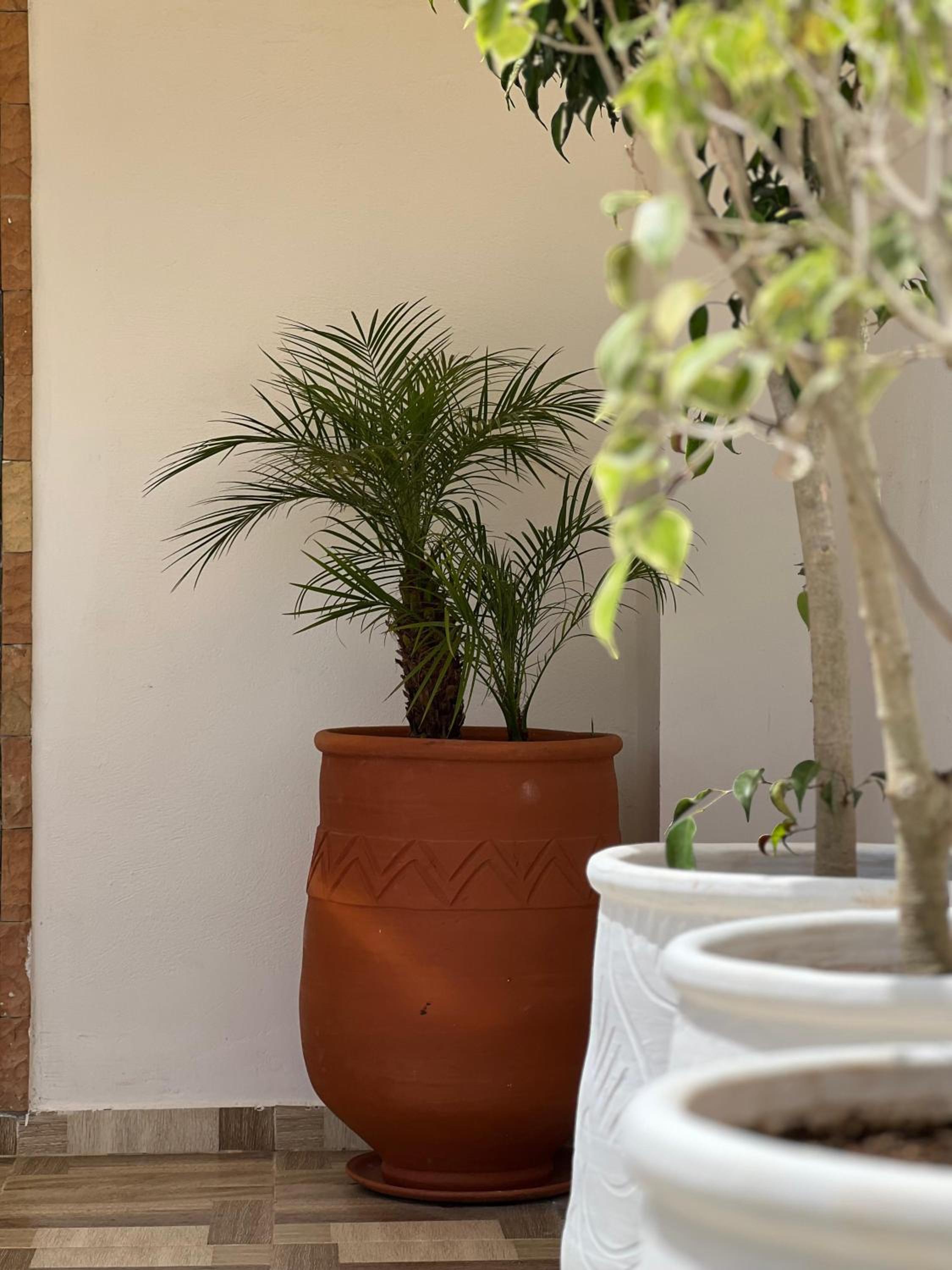 Rabat Vacations - Riad Safia - Property Image 45