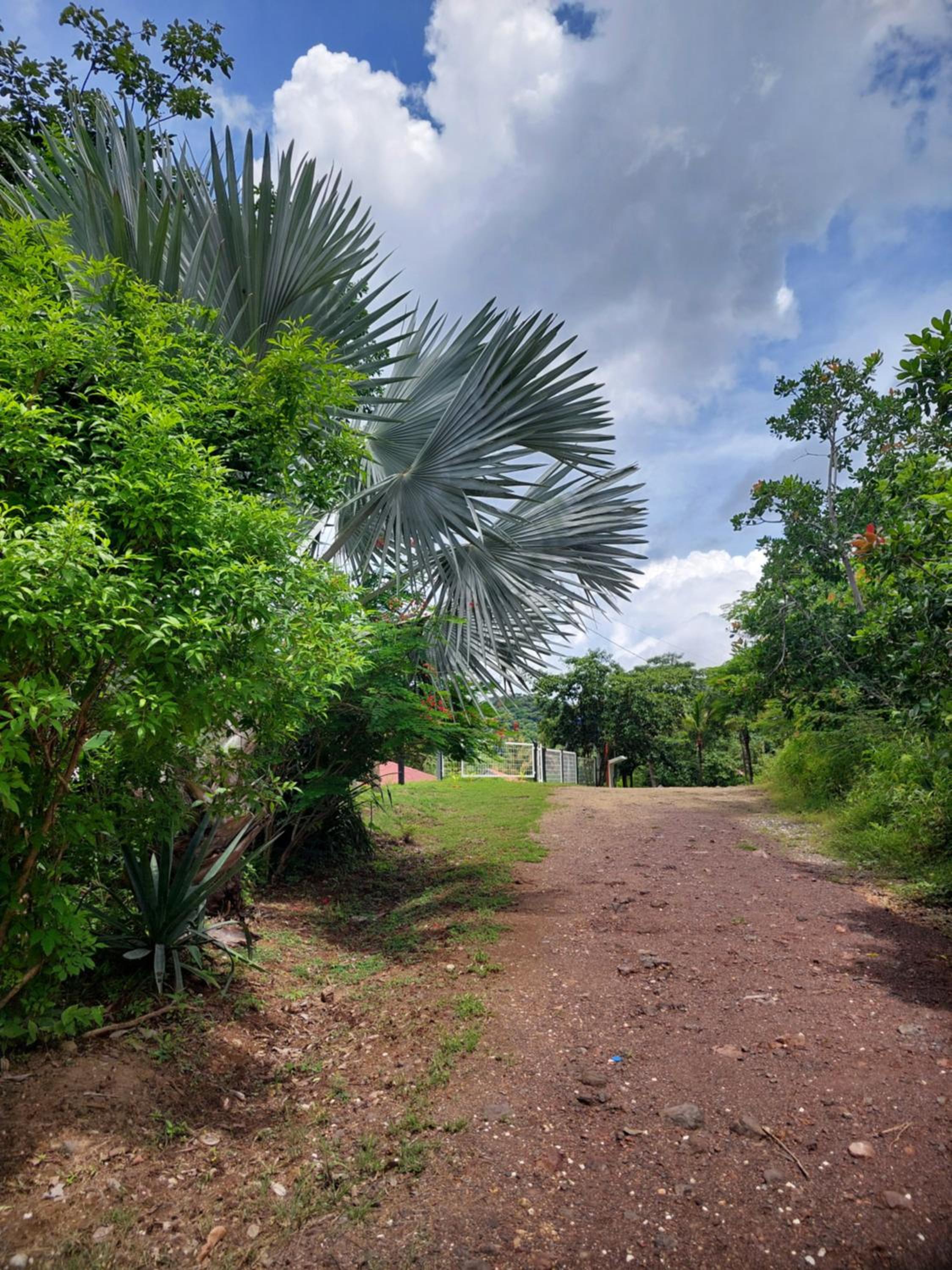 Casa Motmot
