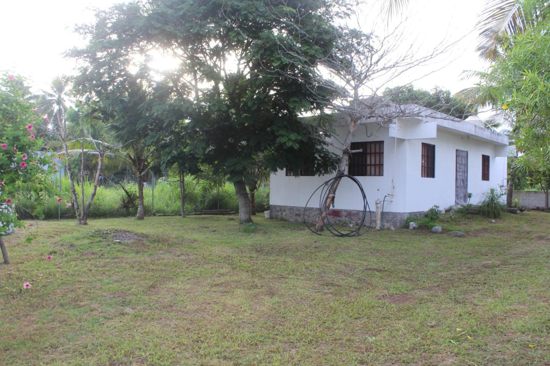 Photo 7