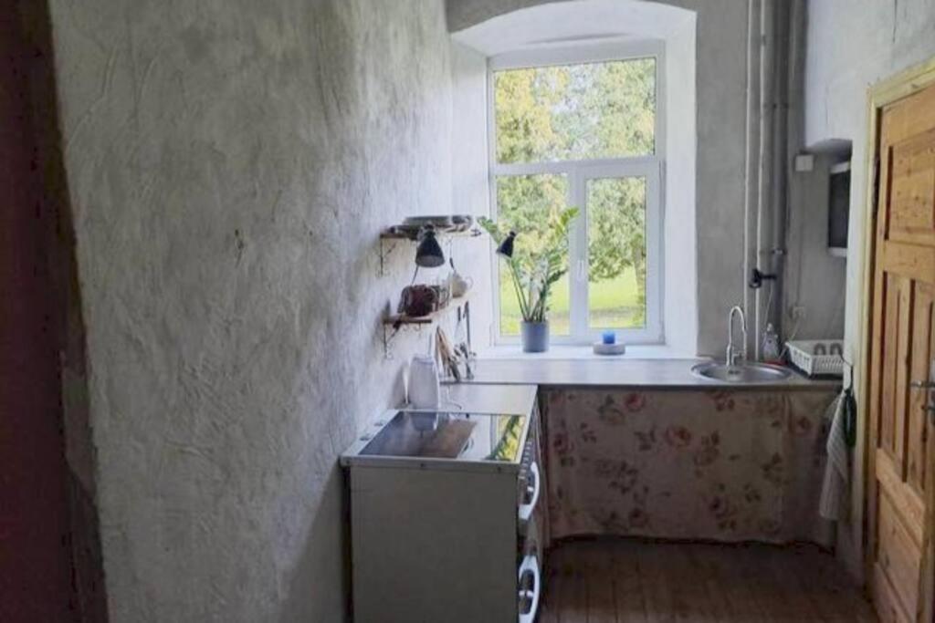 Roosiku Apartment