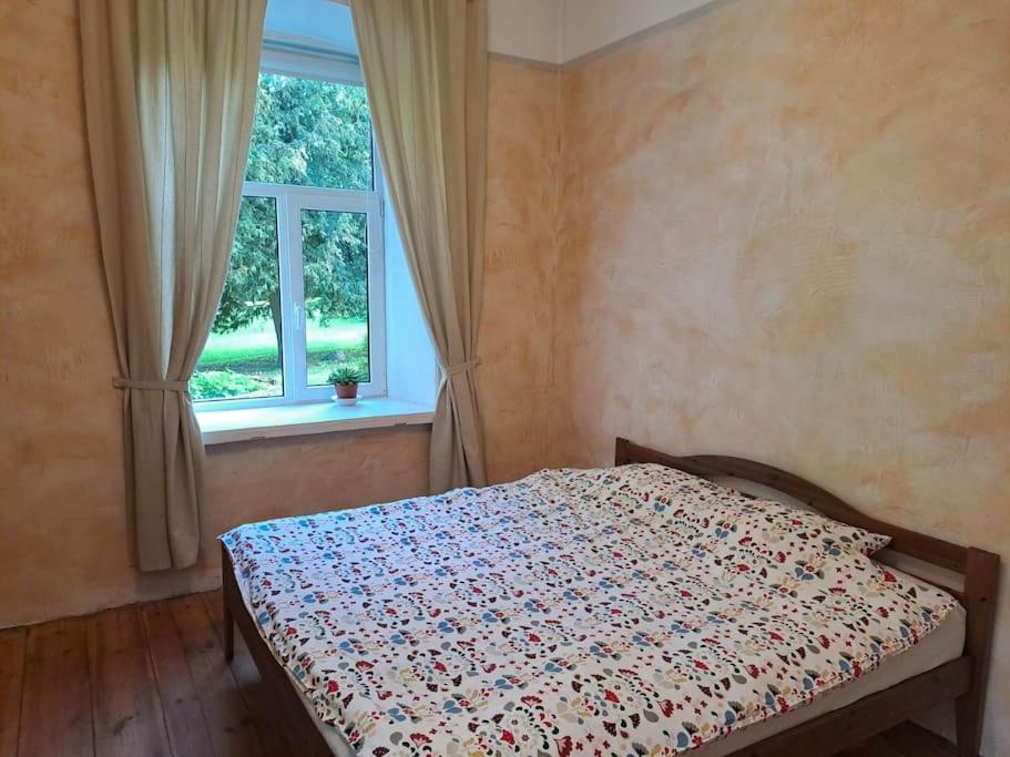 Roosiku Apartment