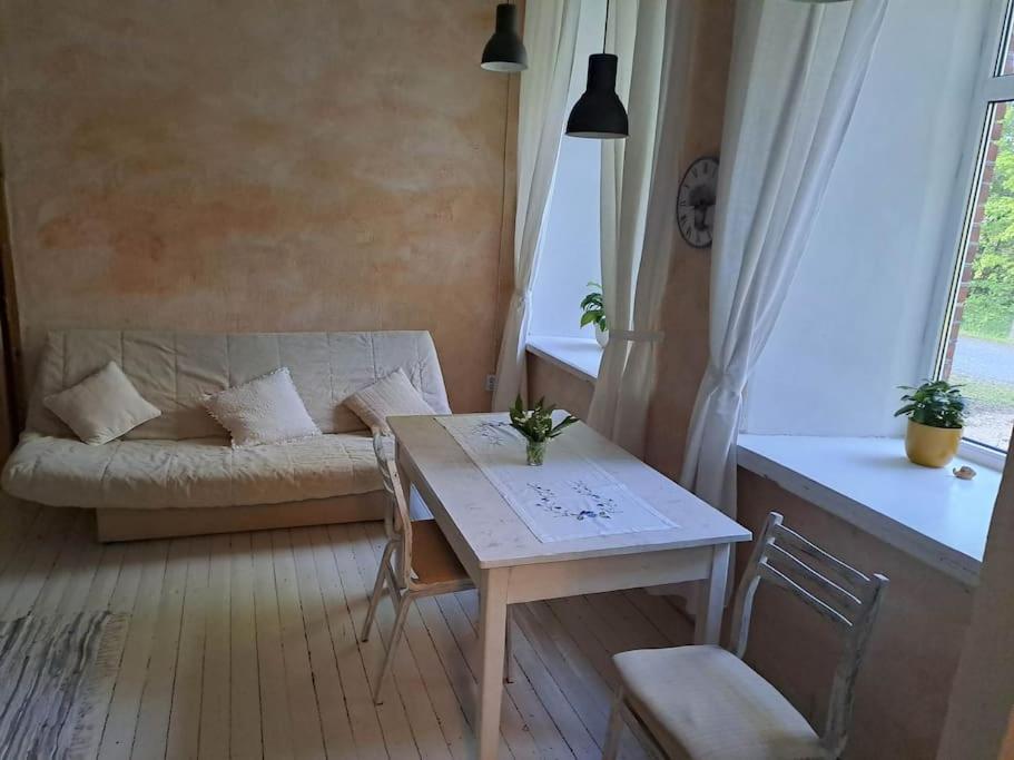 Roosiku Apartment