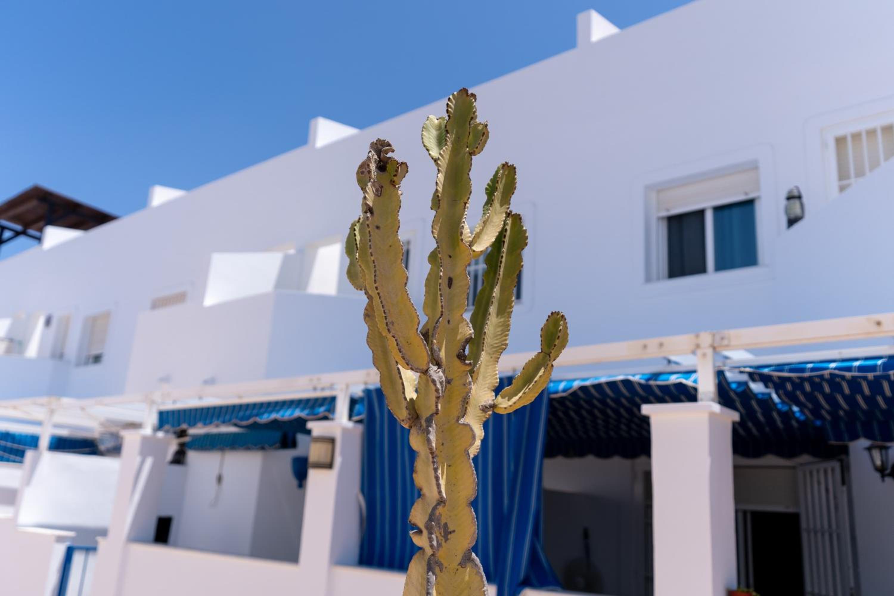 Dúplex con terraza y piscina
