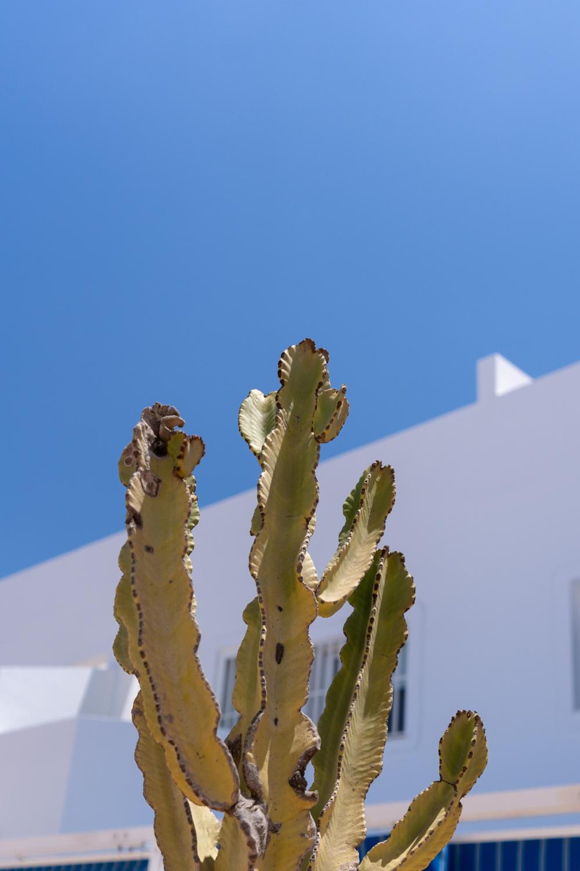 Dúplex con terraza y piscina