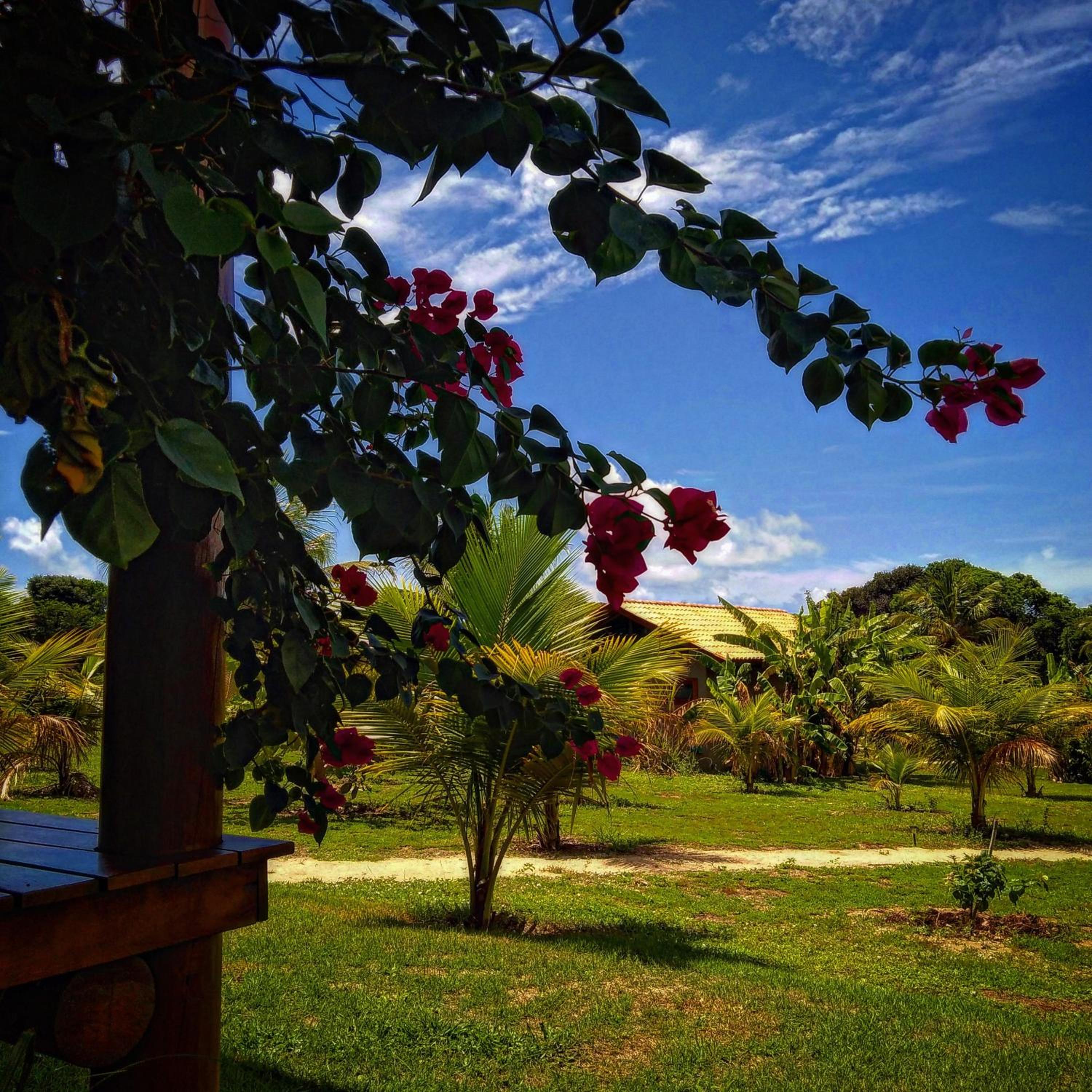 Bangalô Villa Angelim - Natureza e Conforto Barra do Cunhaú RN