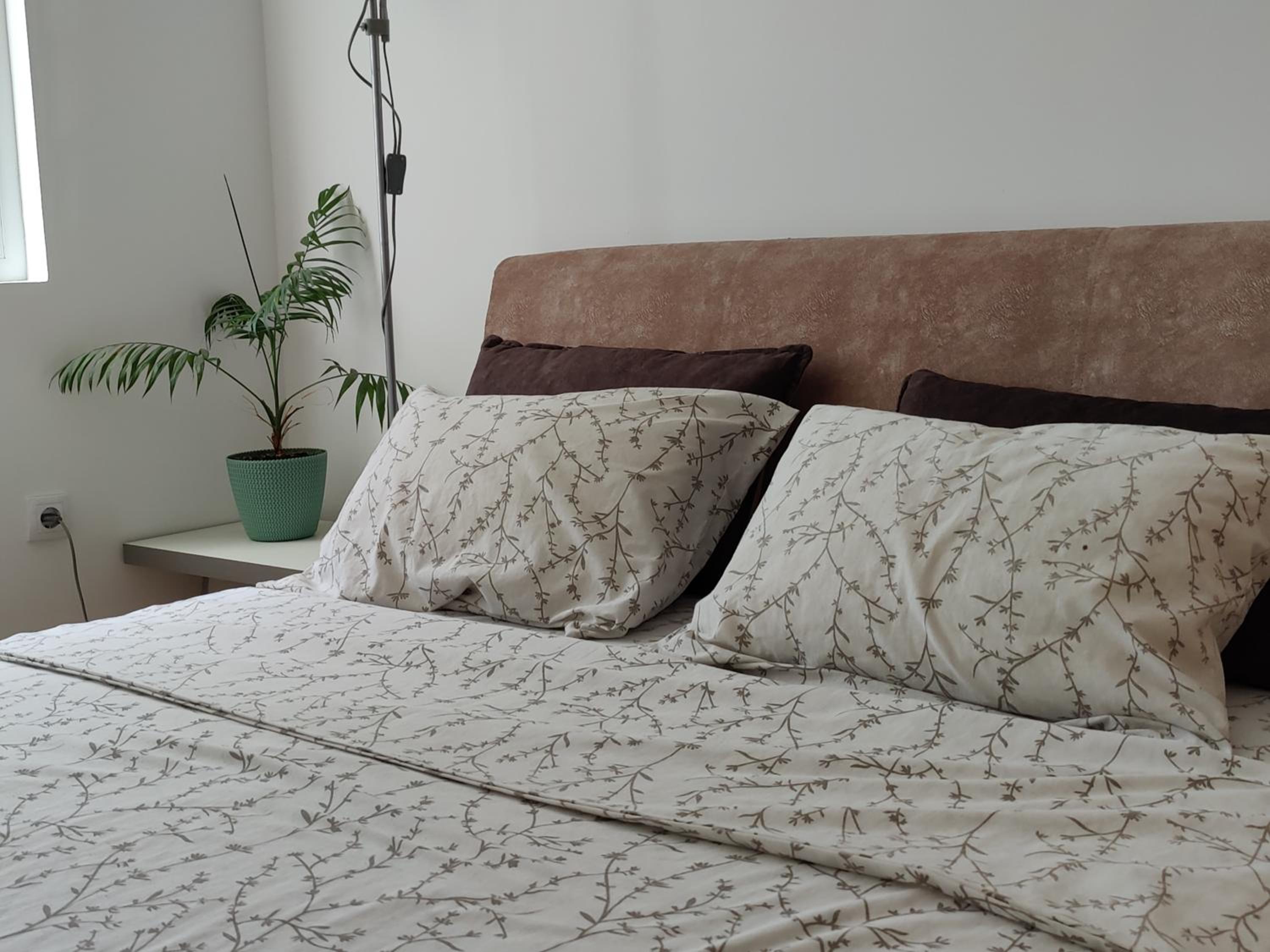 Apartman Aleksic
