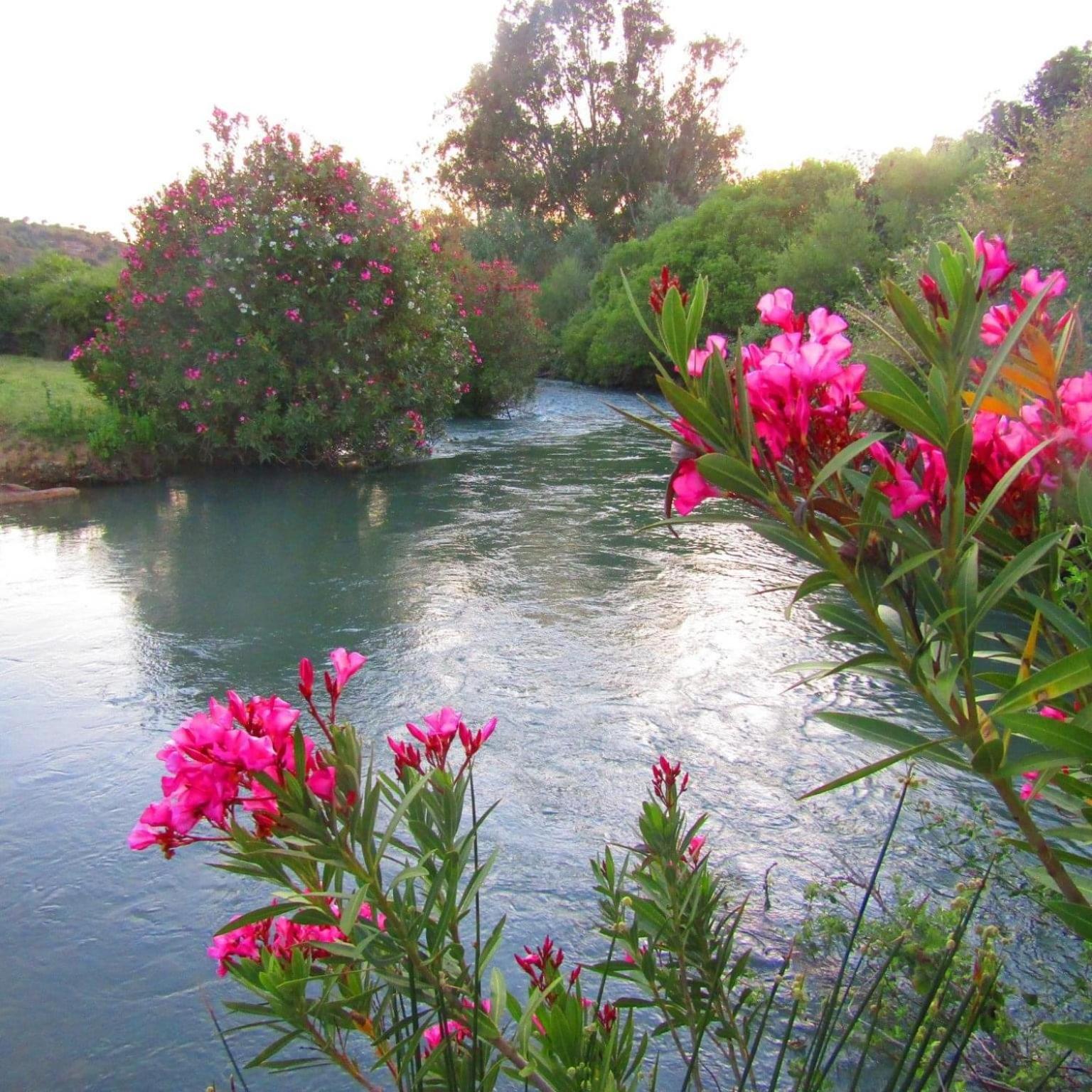 Huerta El Rincón