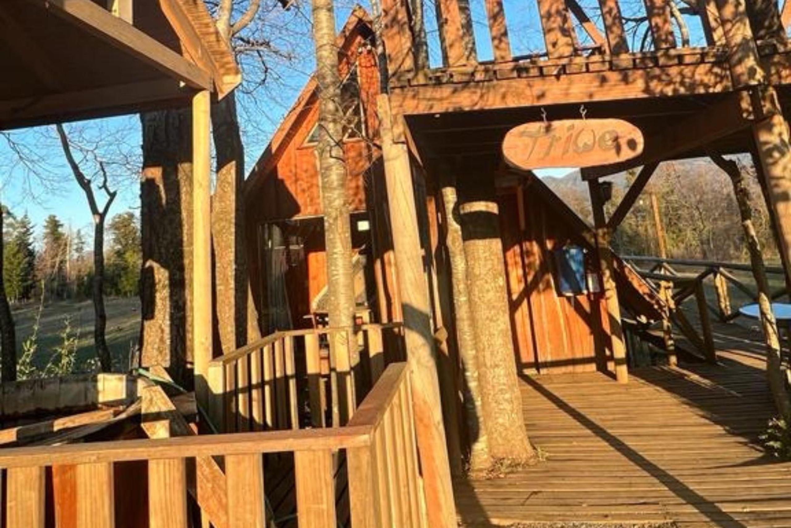 Cabaña NidosdeMelipeuco