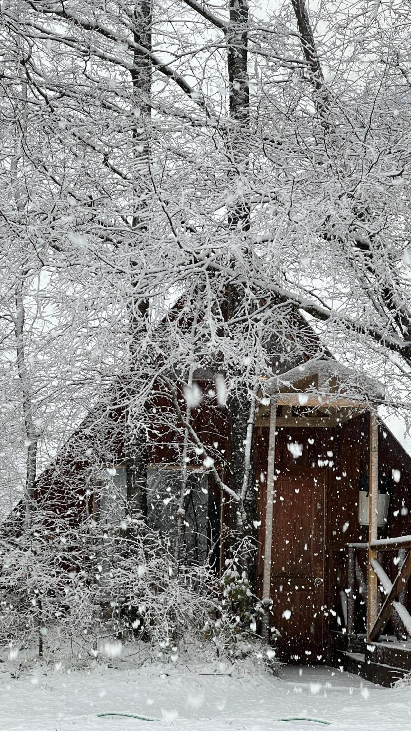 Cabaña NidosdeMelipeuco