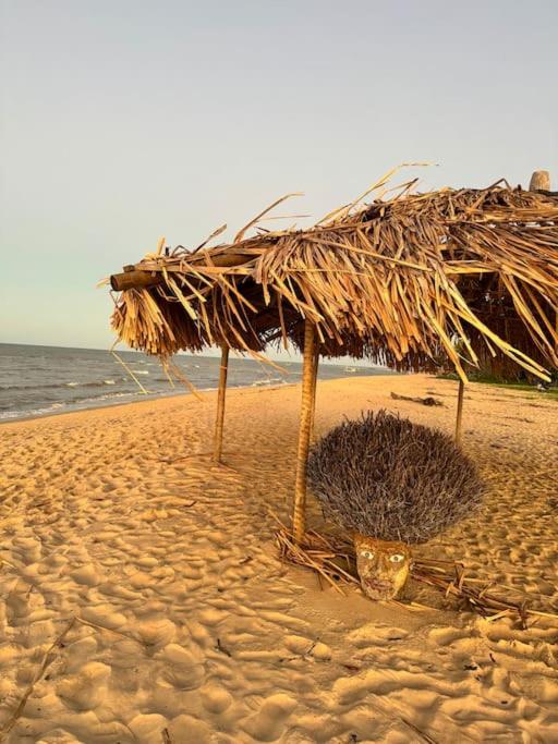Vila Corumbau Cacau