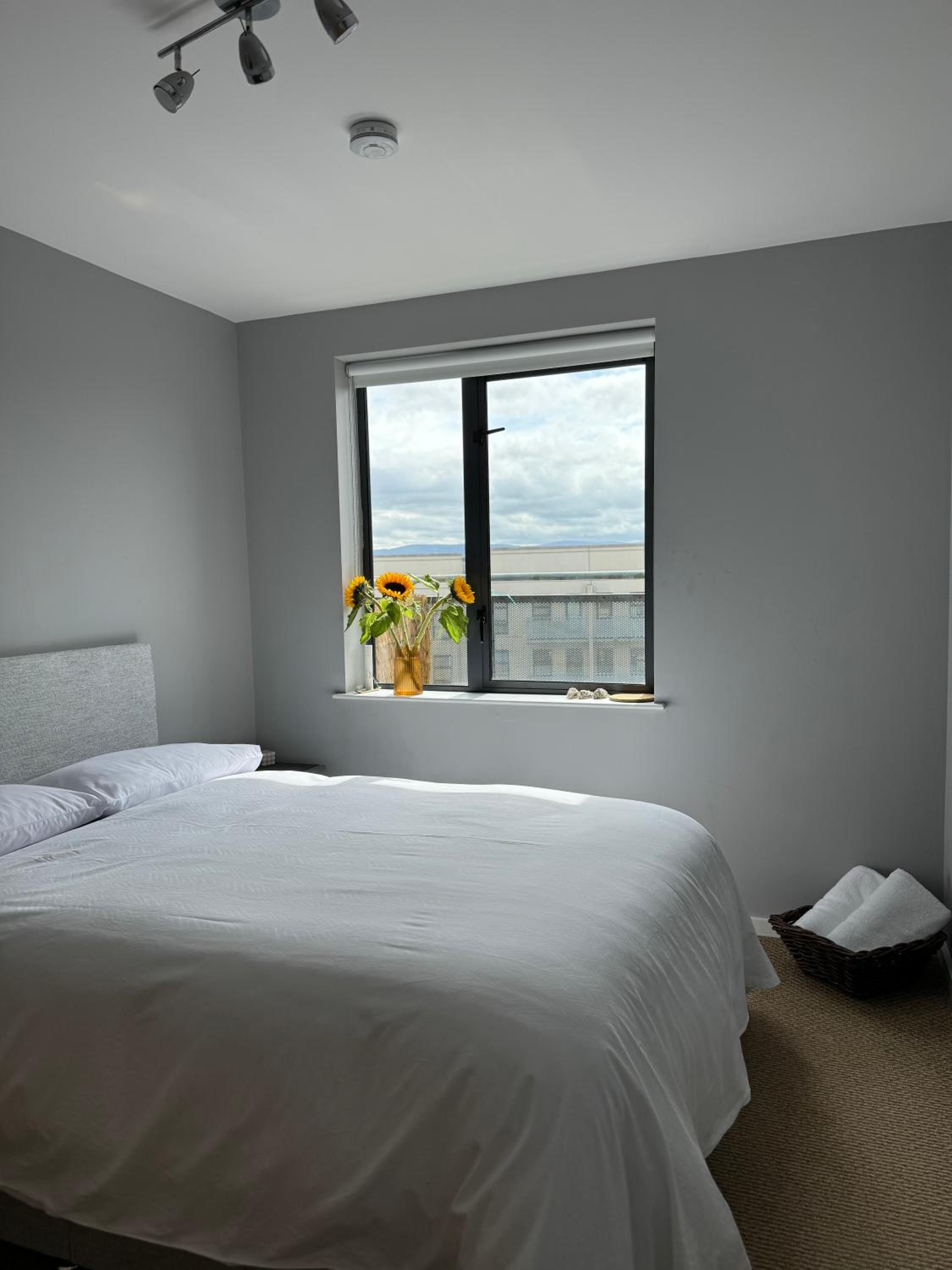 Dublin Private Room