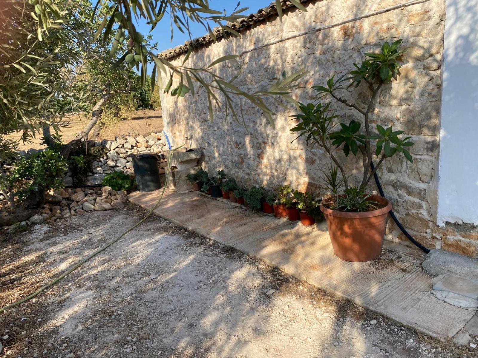 La Ferula view 5