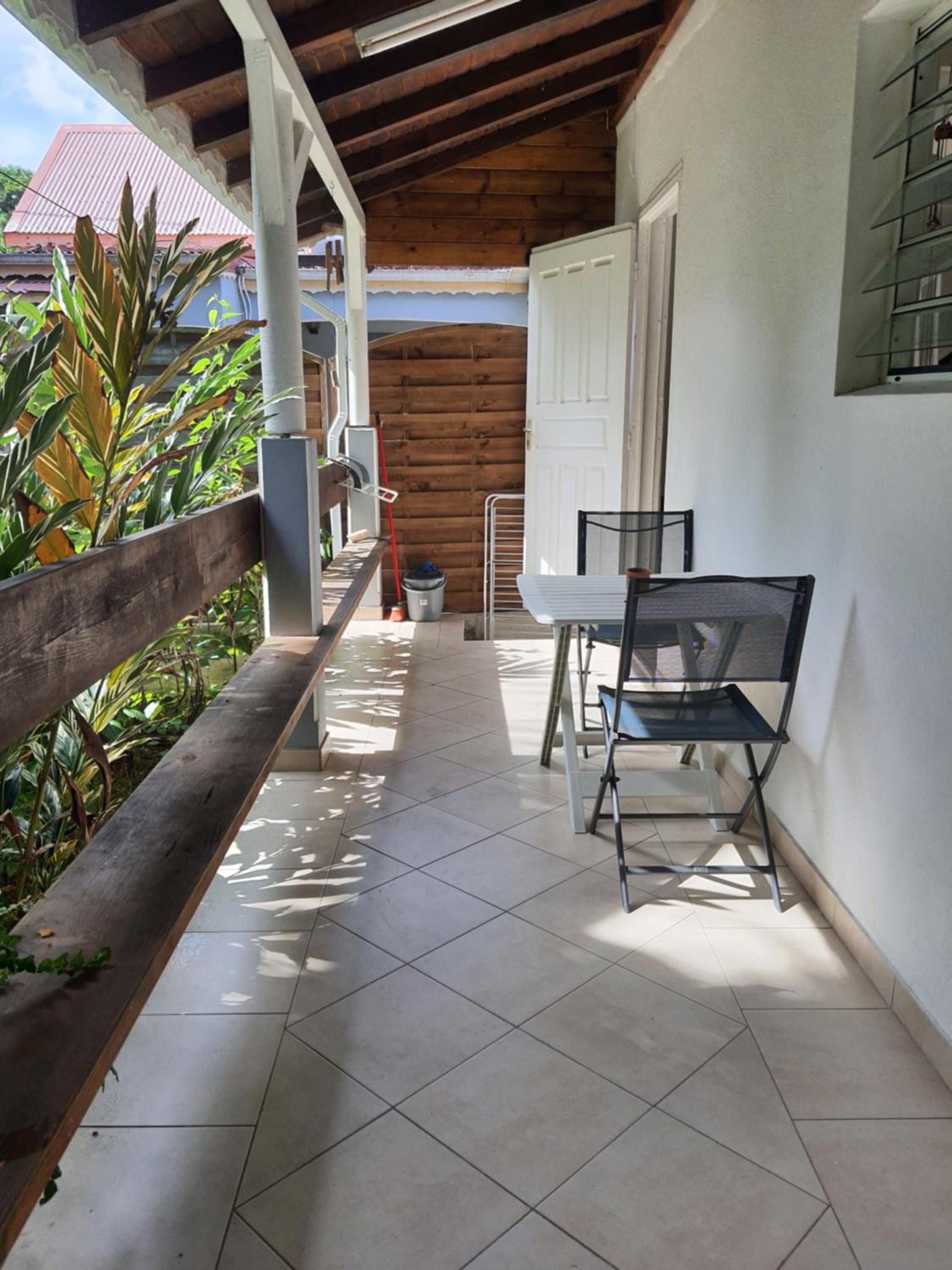 Duplex Tropical Jungle