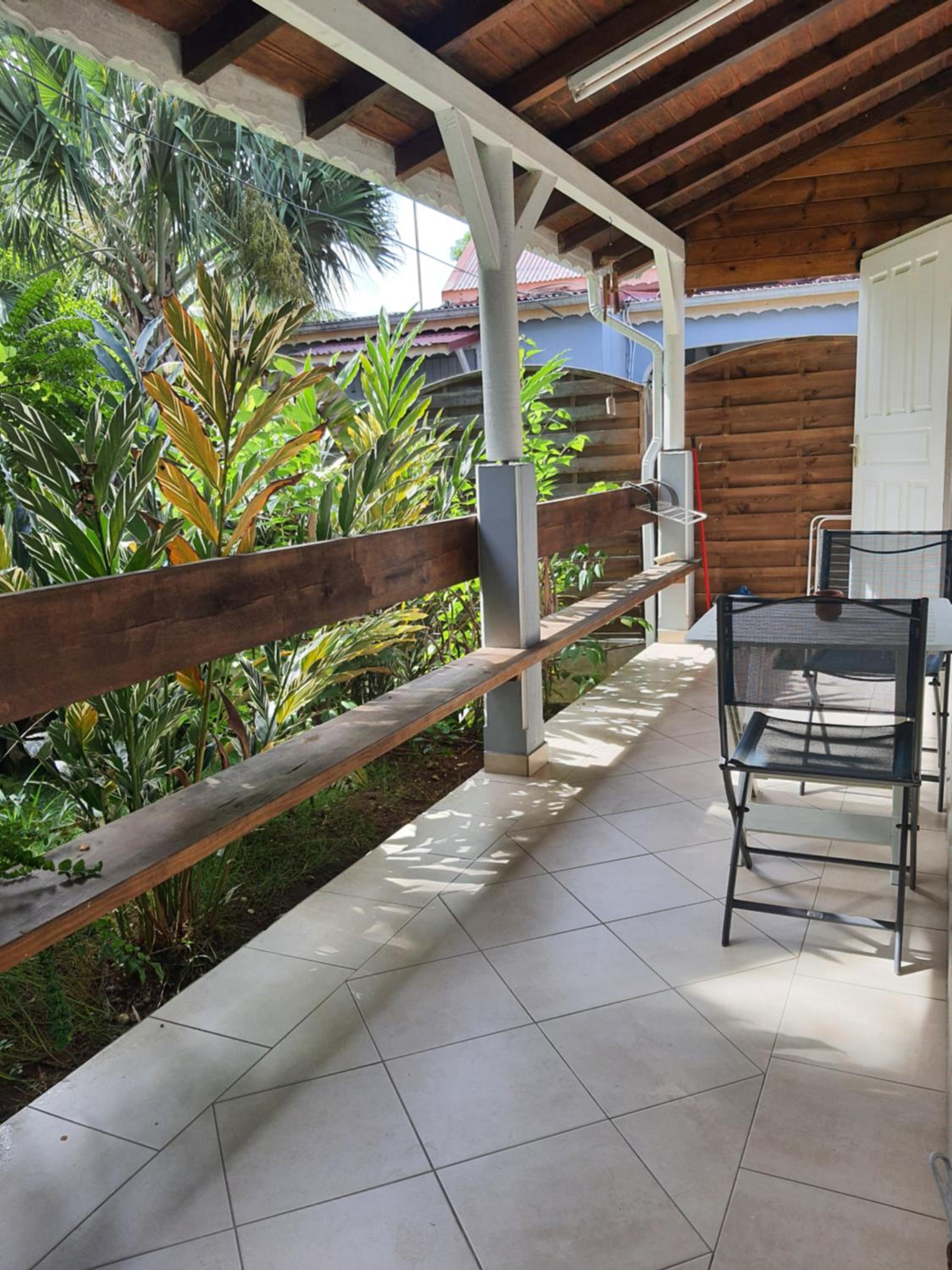 Duplex Tropical Jungle