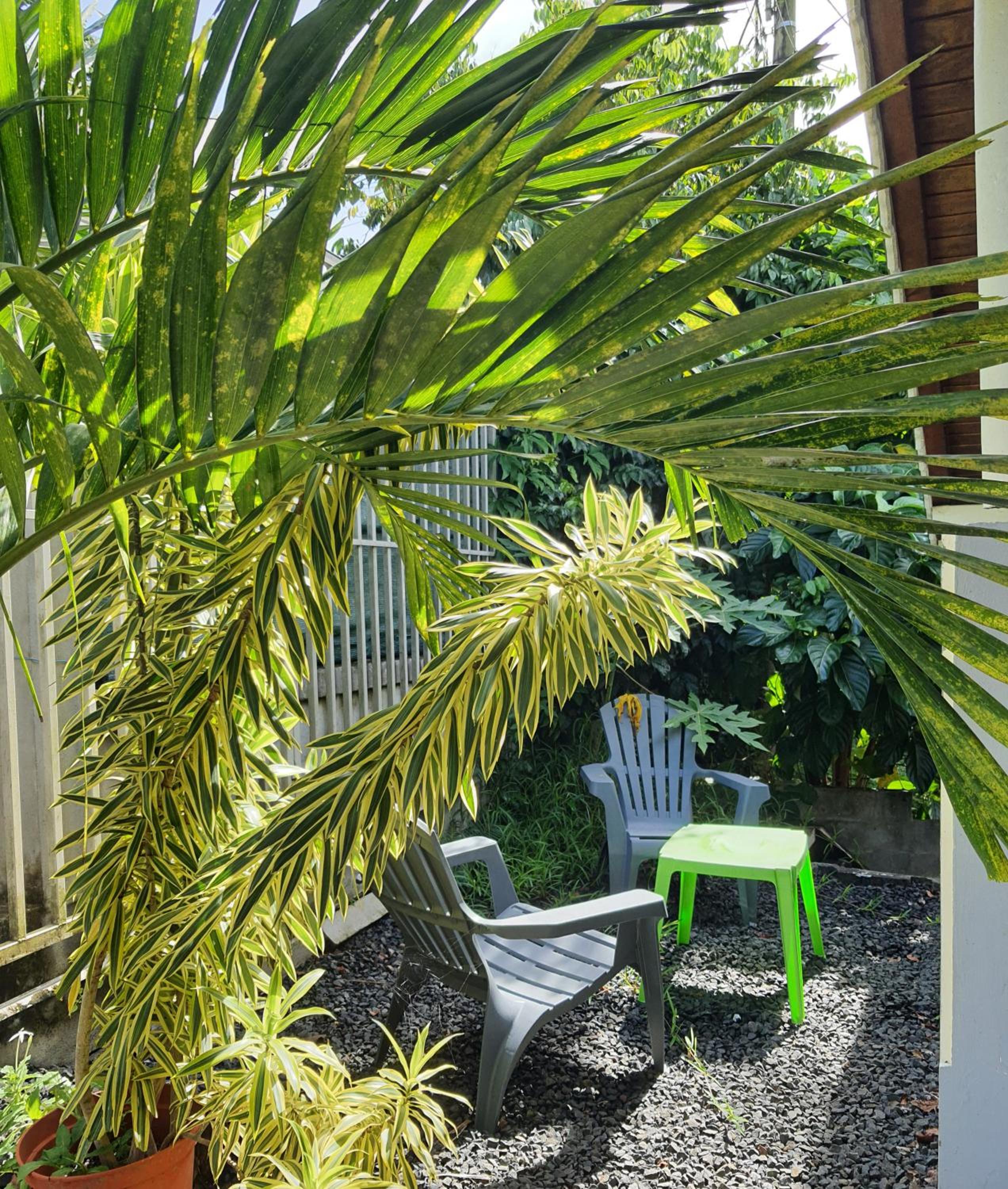 Duplex Tropical Jungle