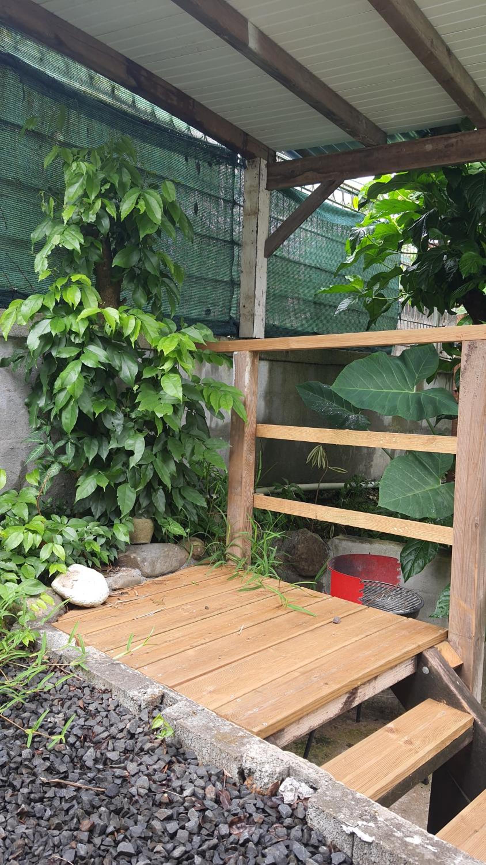 Duplex Tropical Jungle